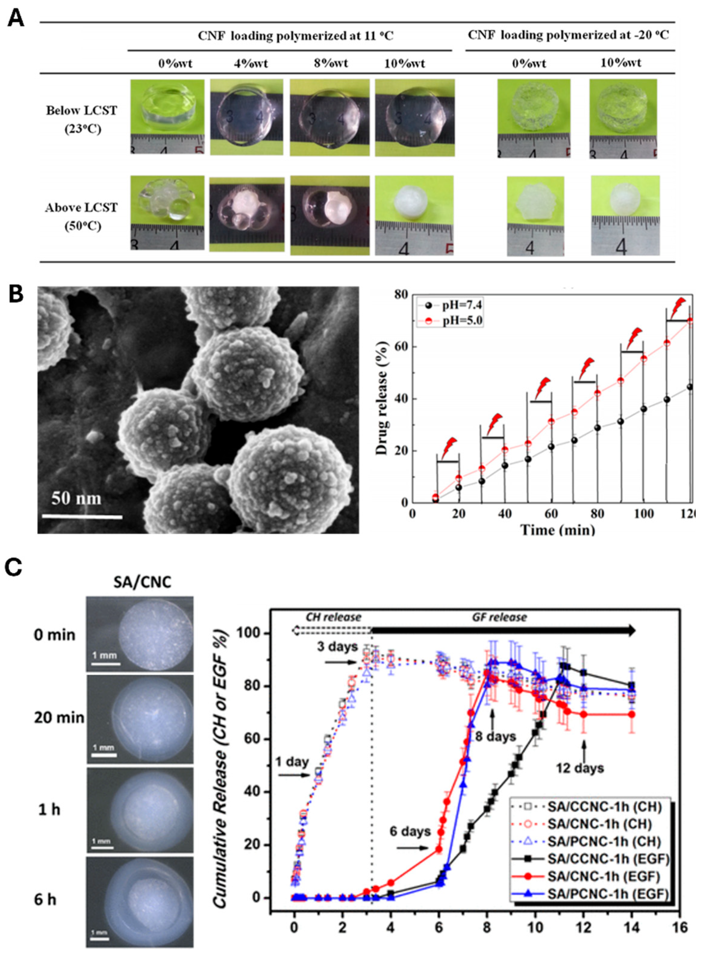 Preprints 169086 g004
