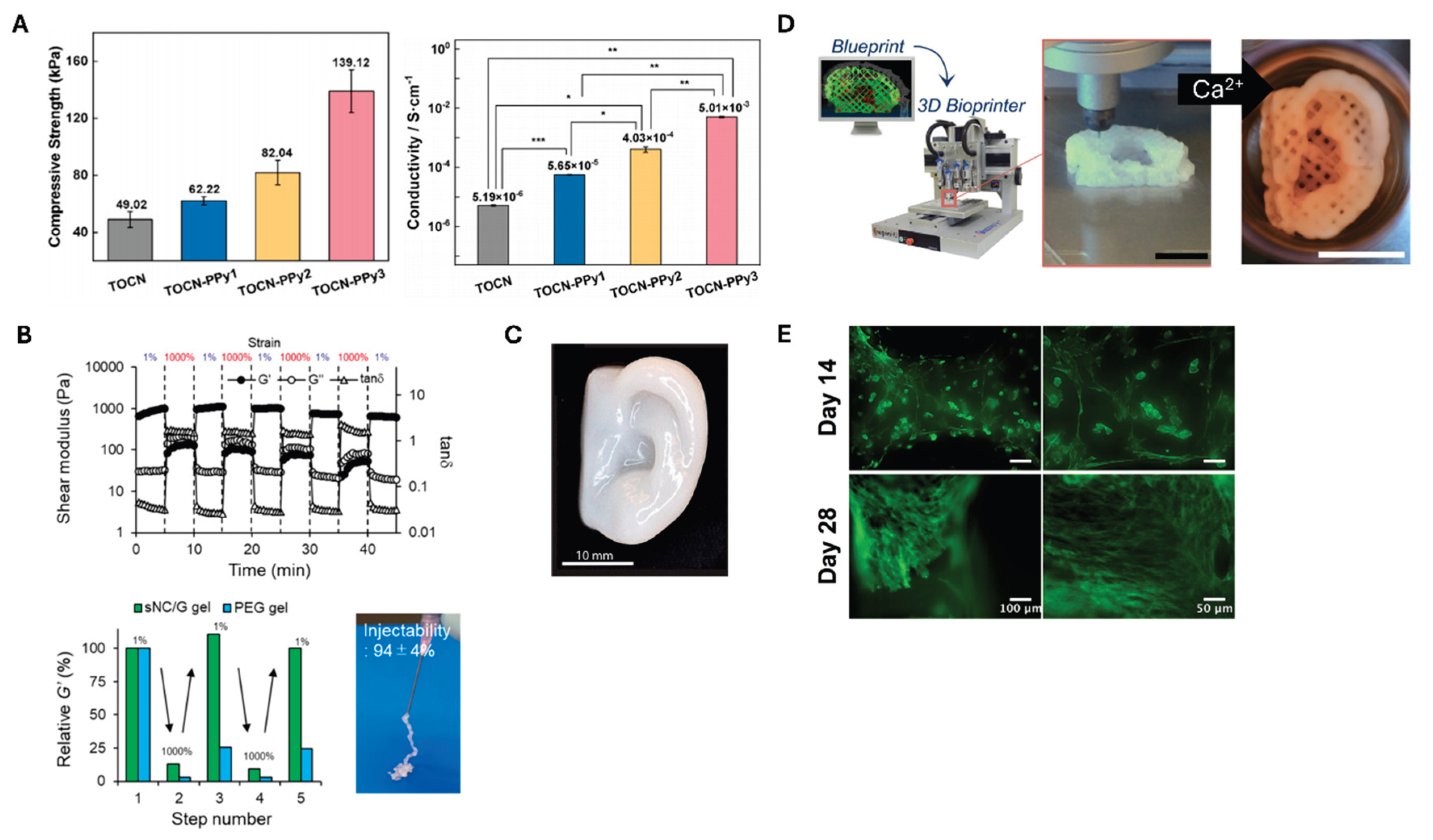 Preprints 169086 g005