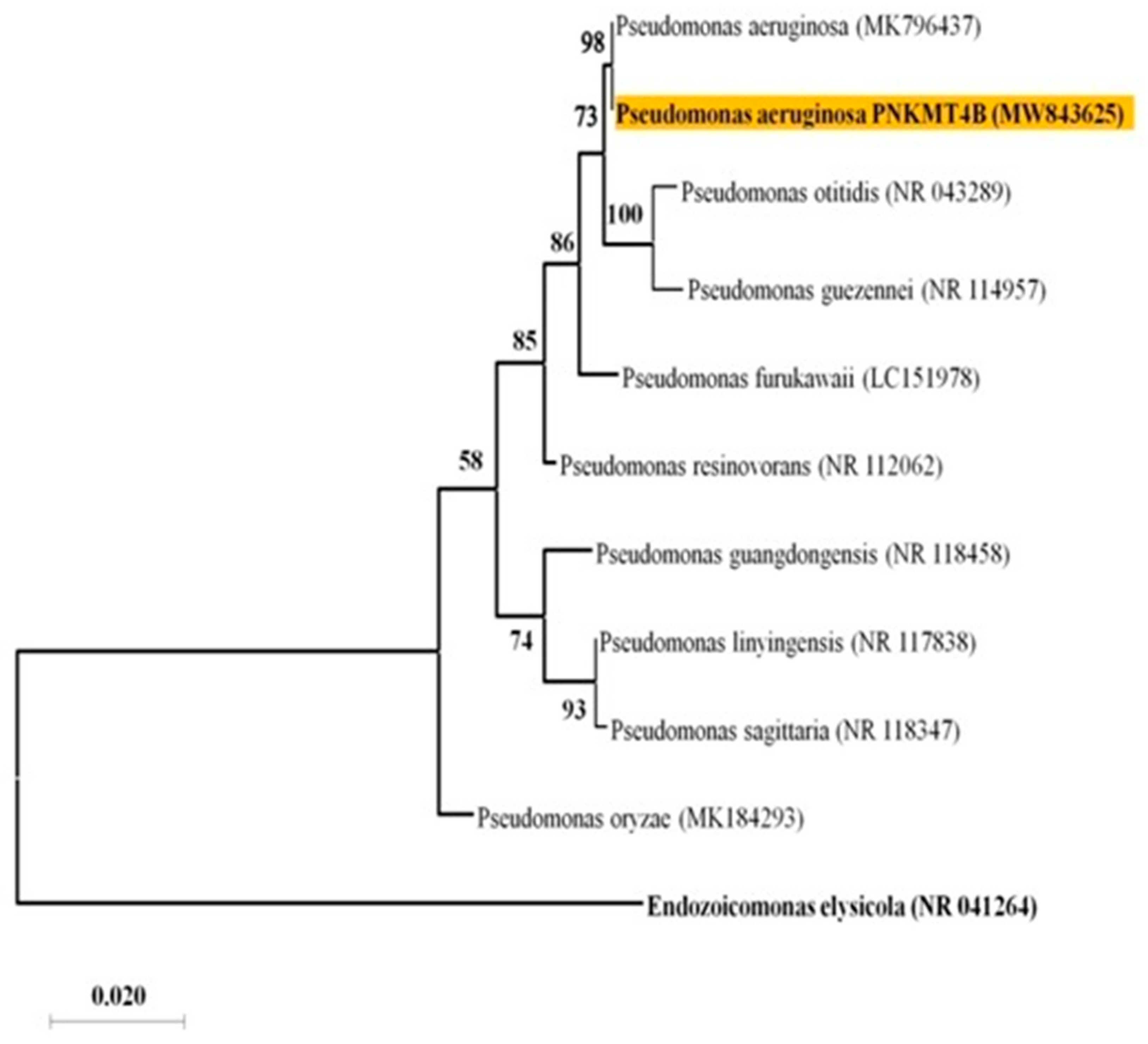 Preprints 148413 g001