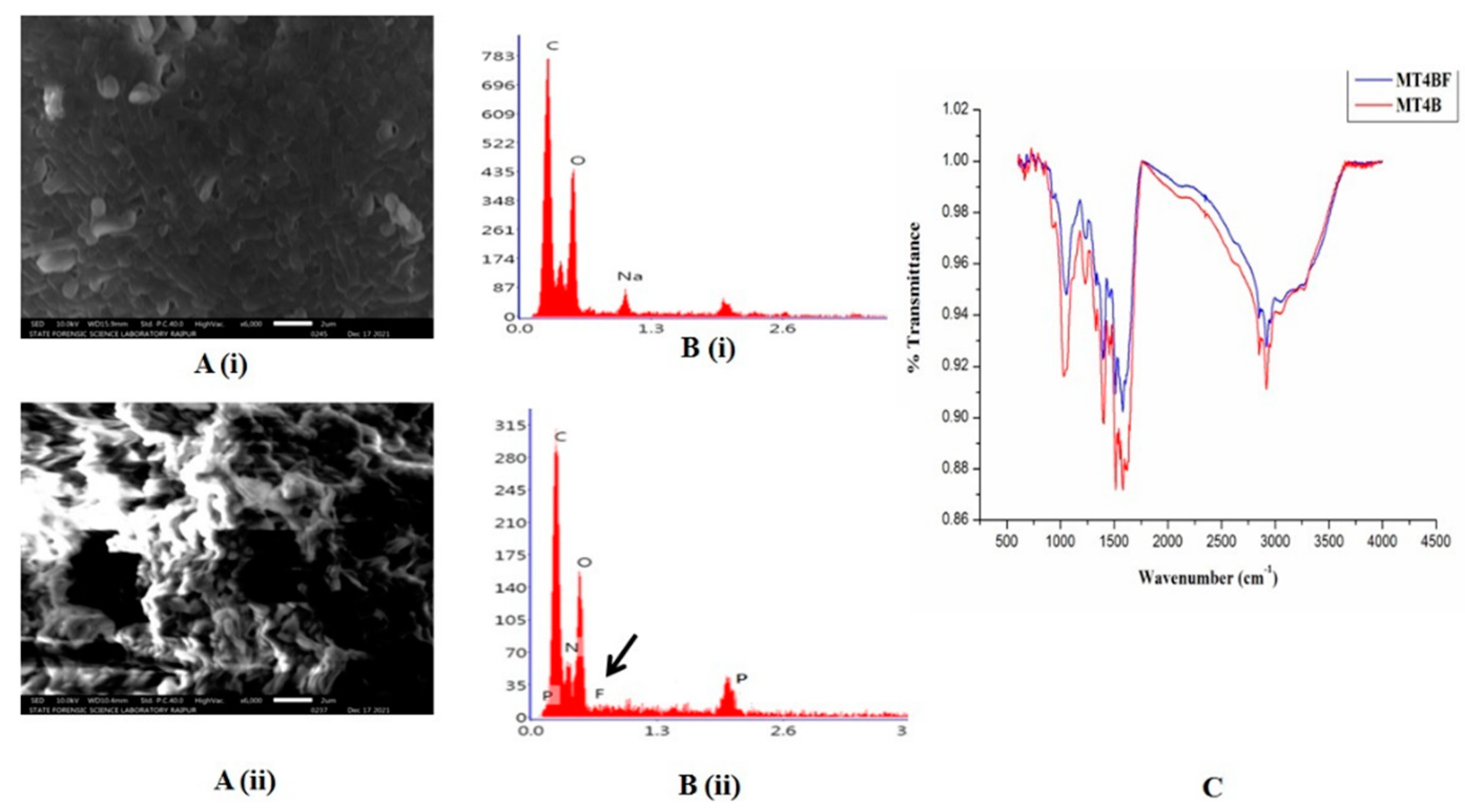 Preprints 148413 g003