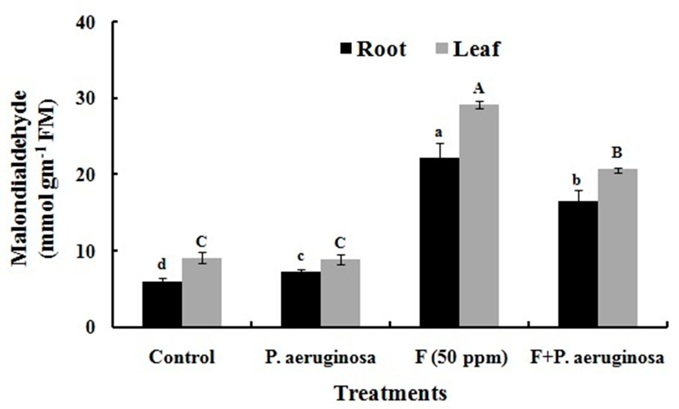 Preprints 148413 g006