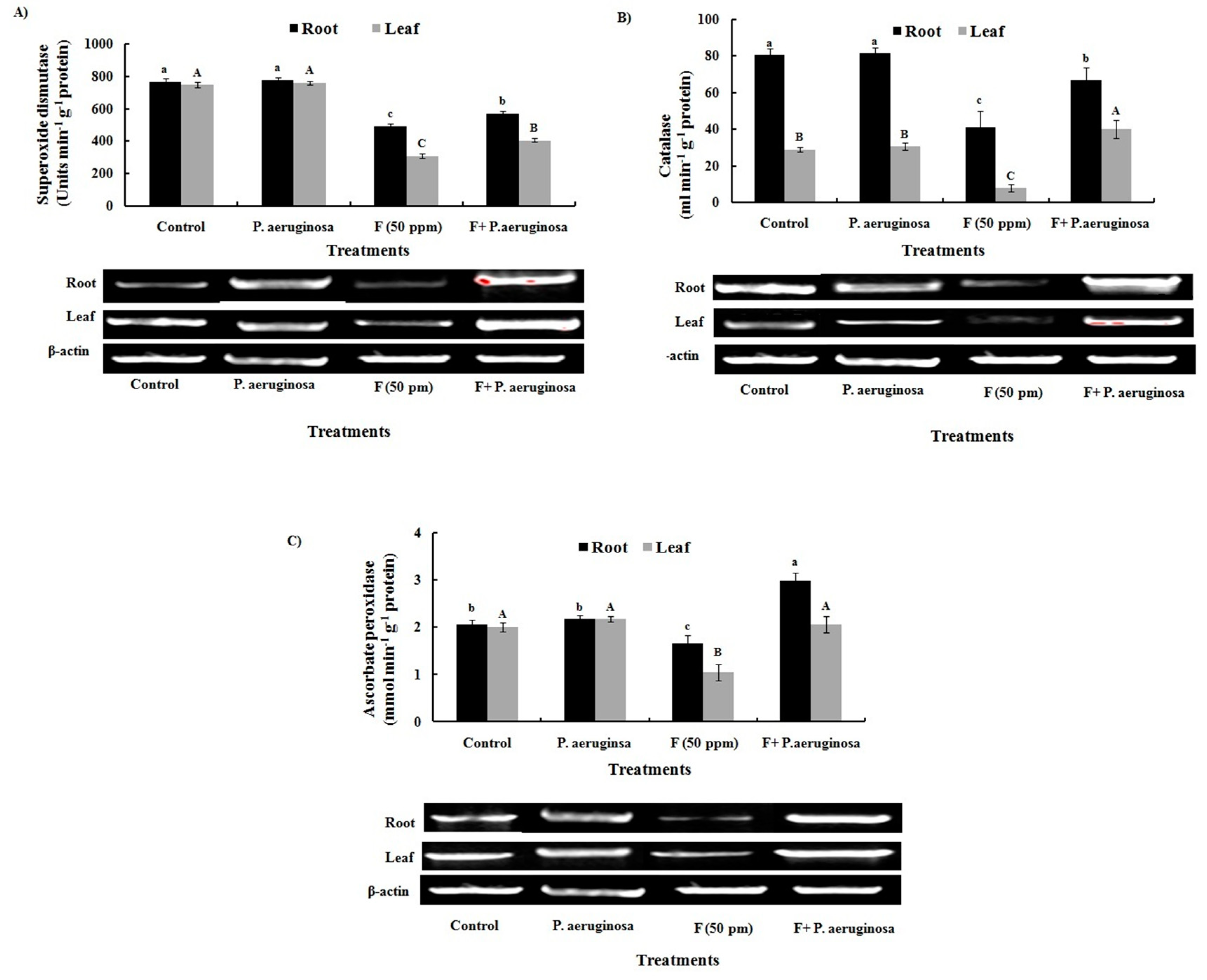 Preprints 148413 g007