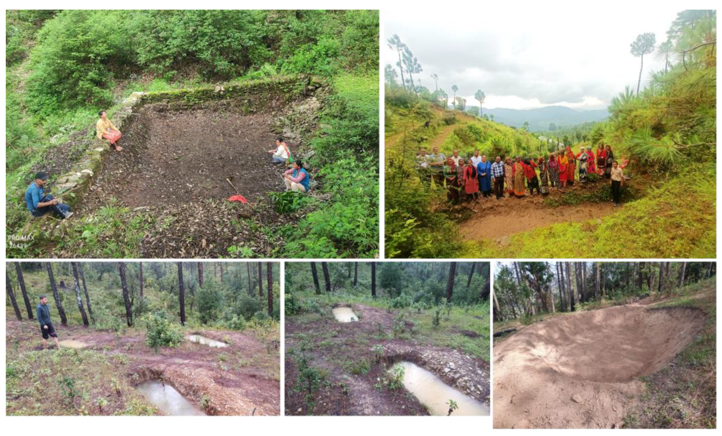 Preprints 140522 g005