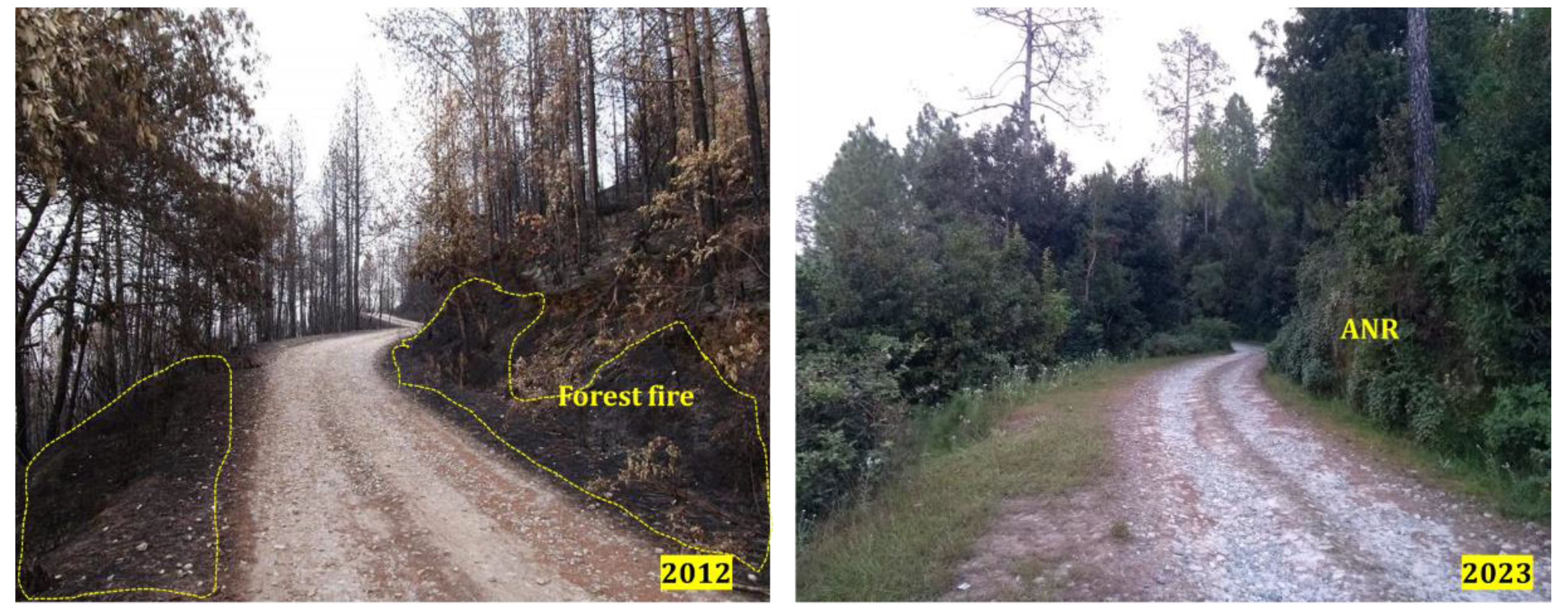 Preprints 140522 g007