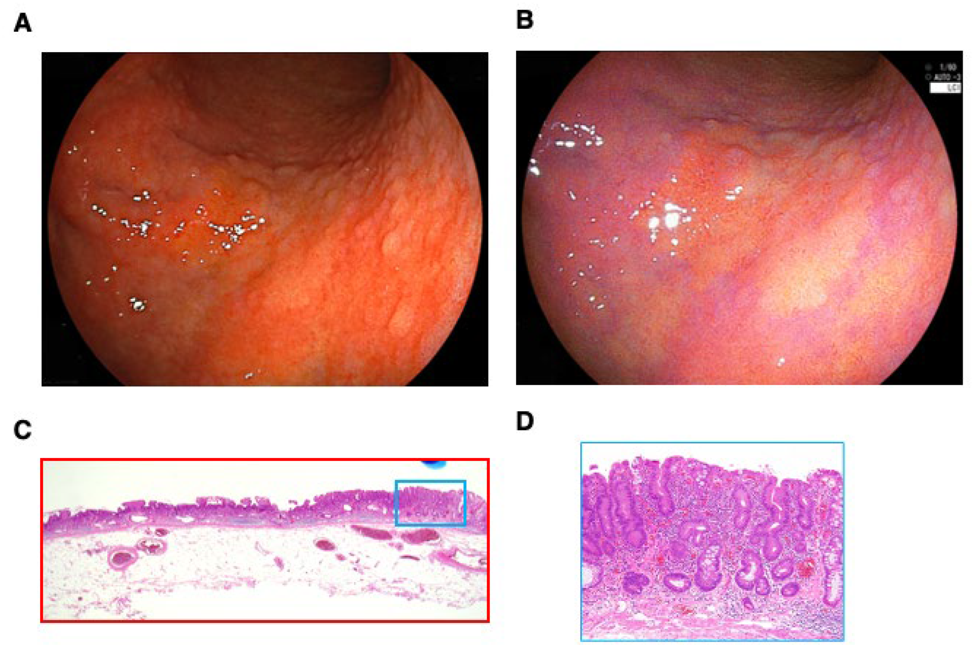Preprints 162304 g002