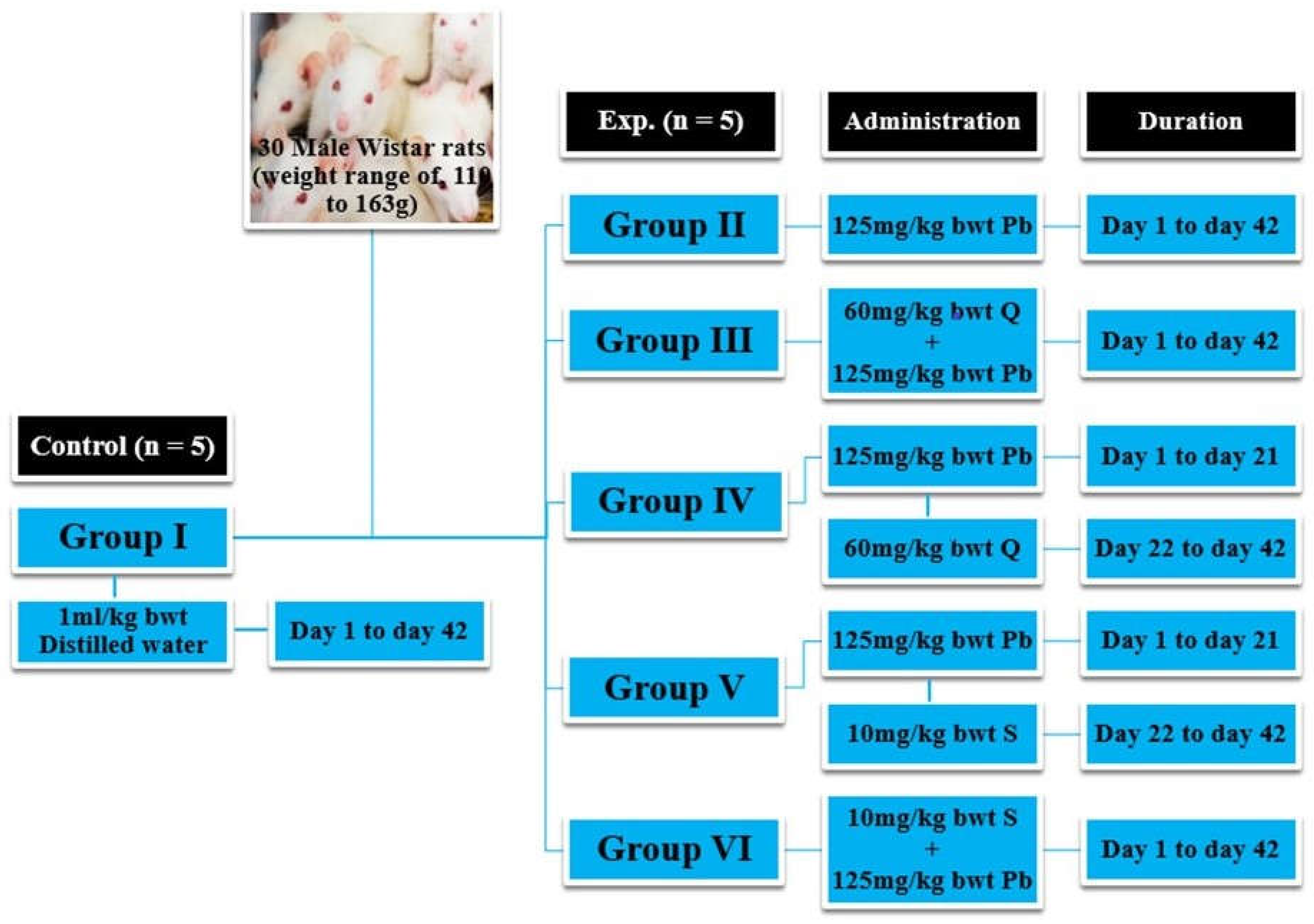 Preprints 149022 g001
