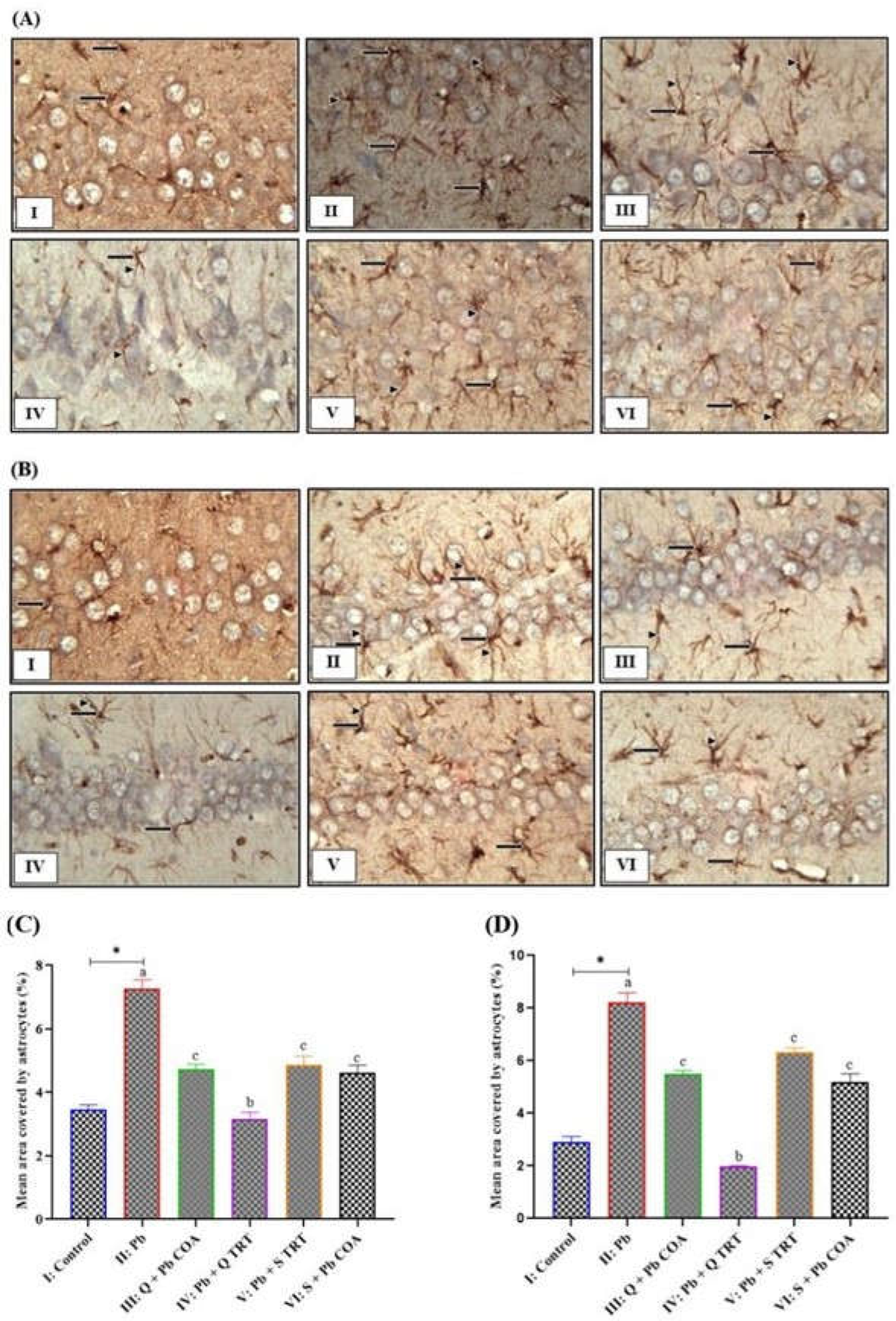 Preprints 149022 g004