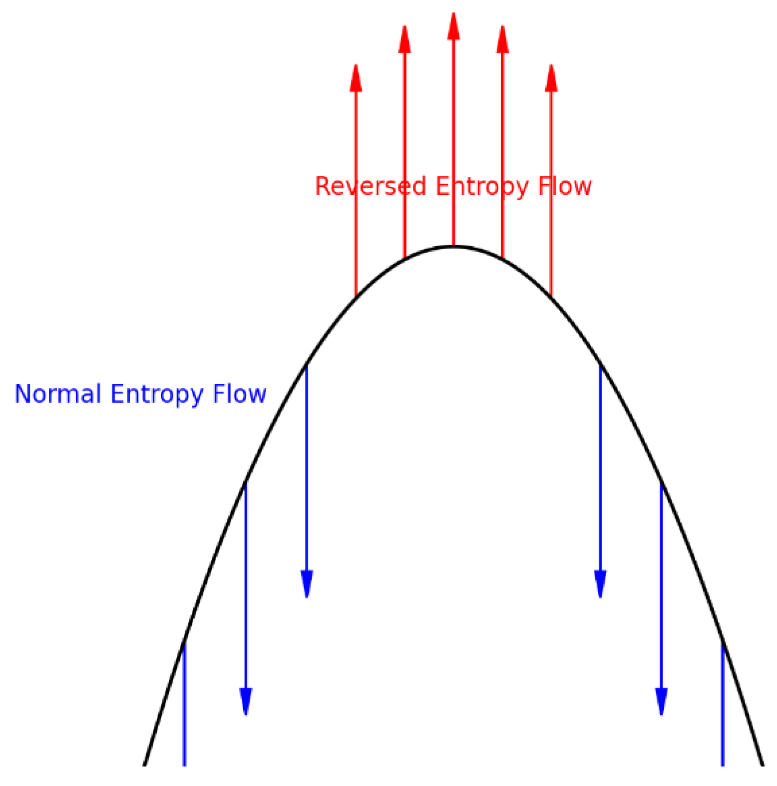 Preprints 161309 g019
