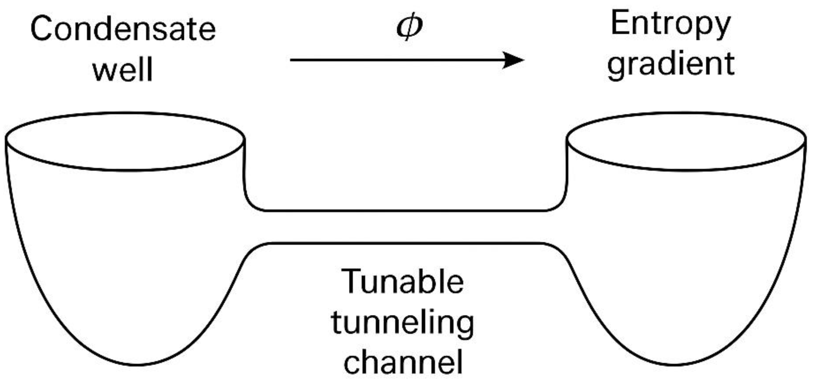 Preprints 161309 g029