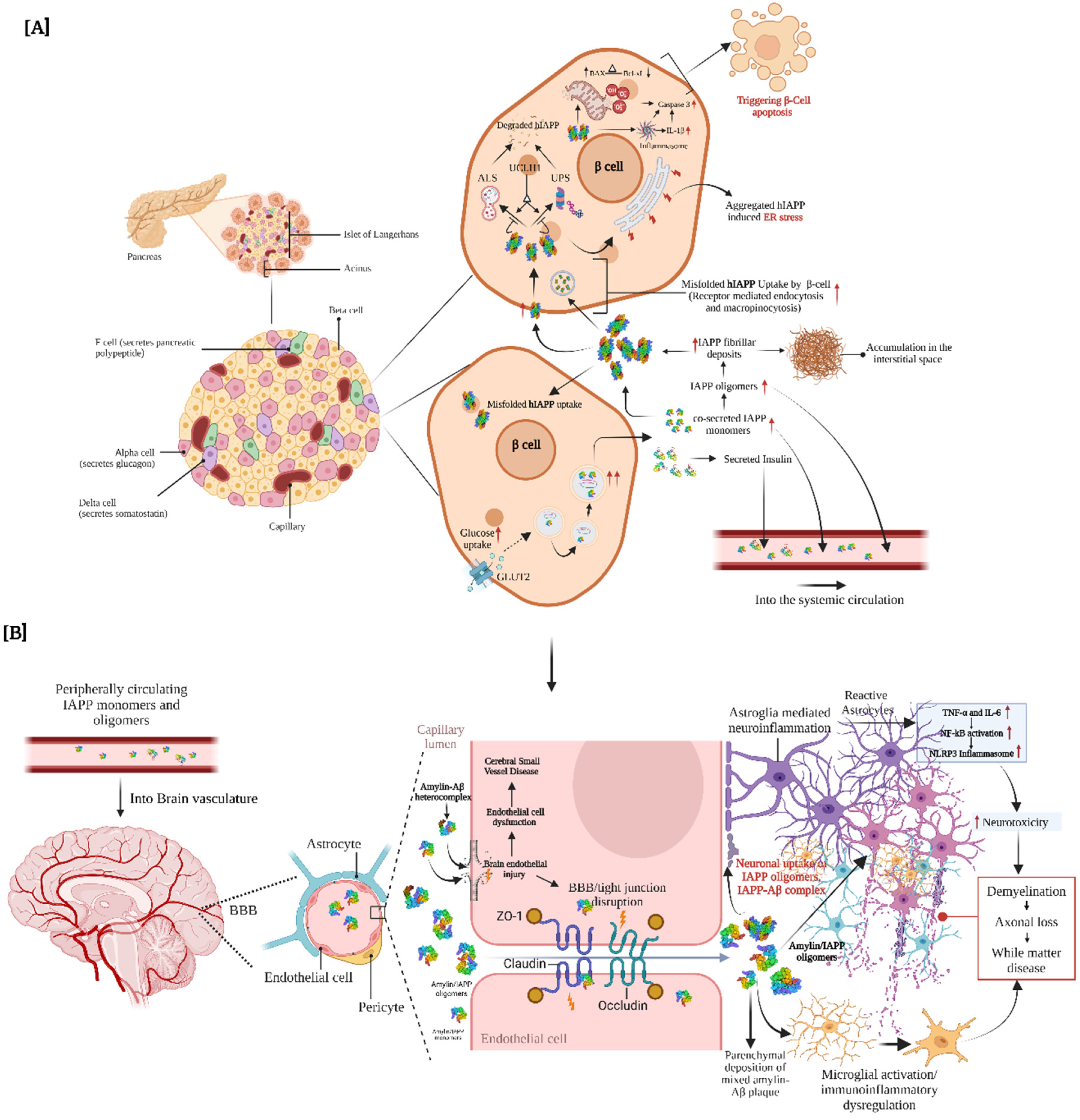 Preprints 156478 g001