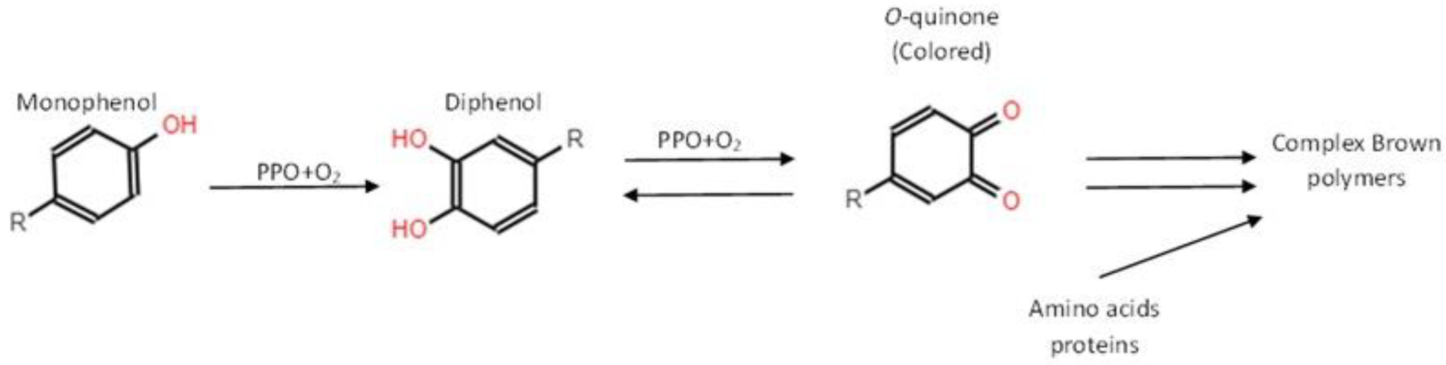 Preprints 121487 g001