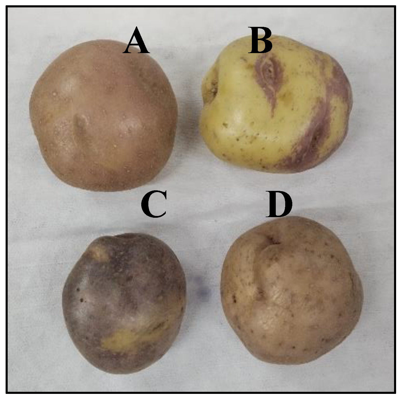 Preprints 121487 g002