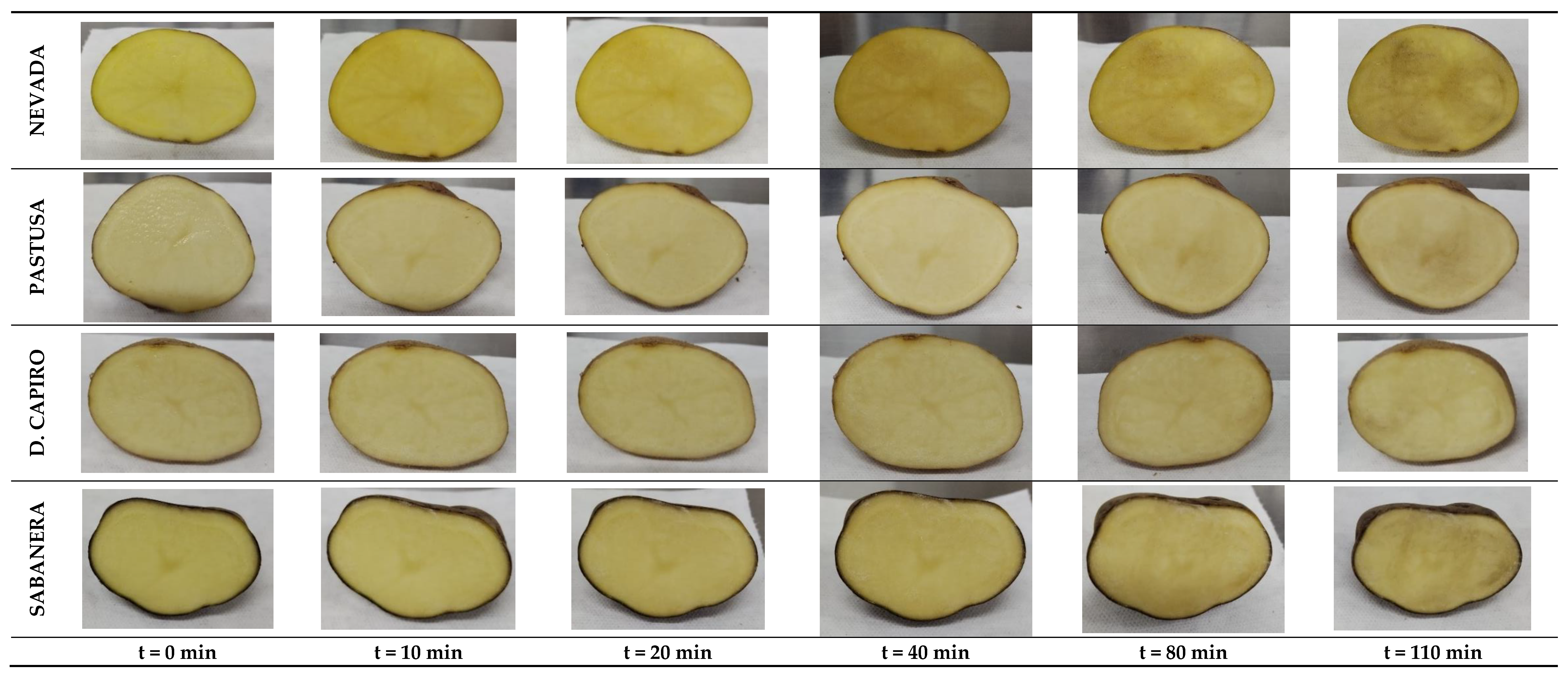 Preprints 121487 g004