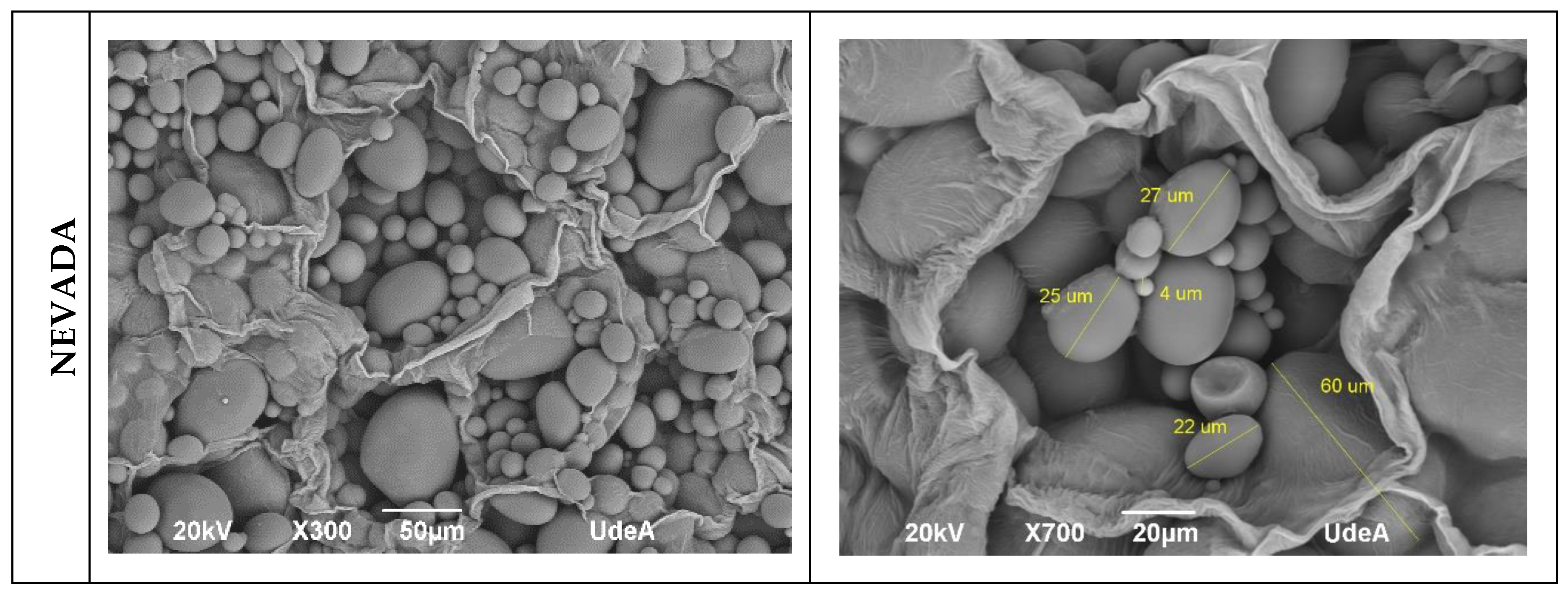 Preprints 121487 g007a