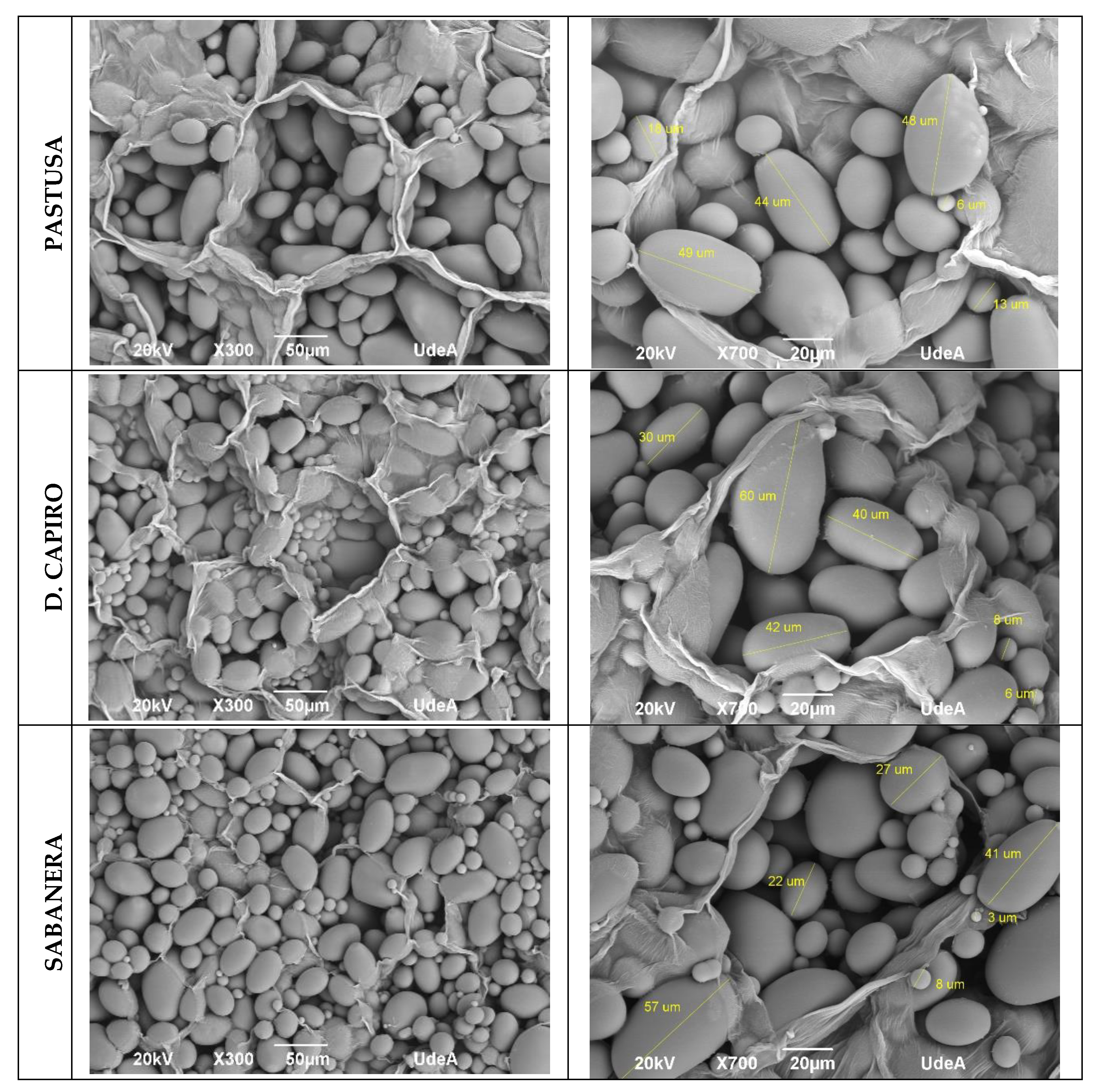Preprints 121487 g007b