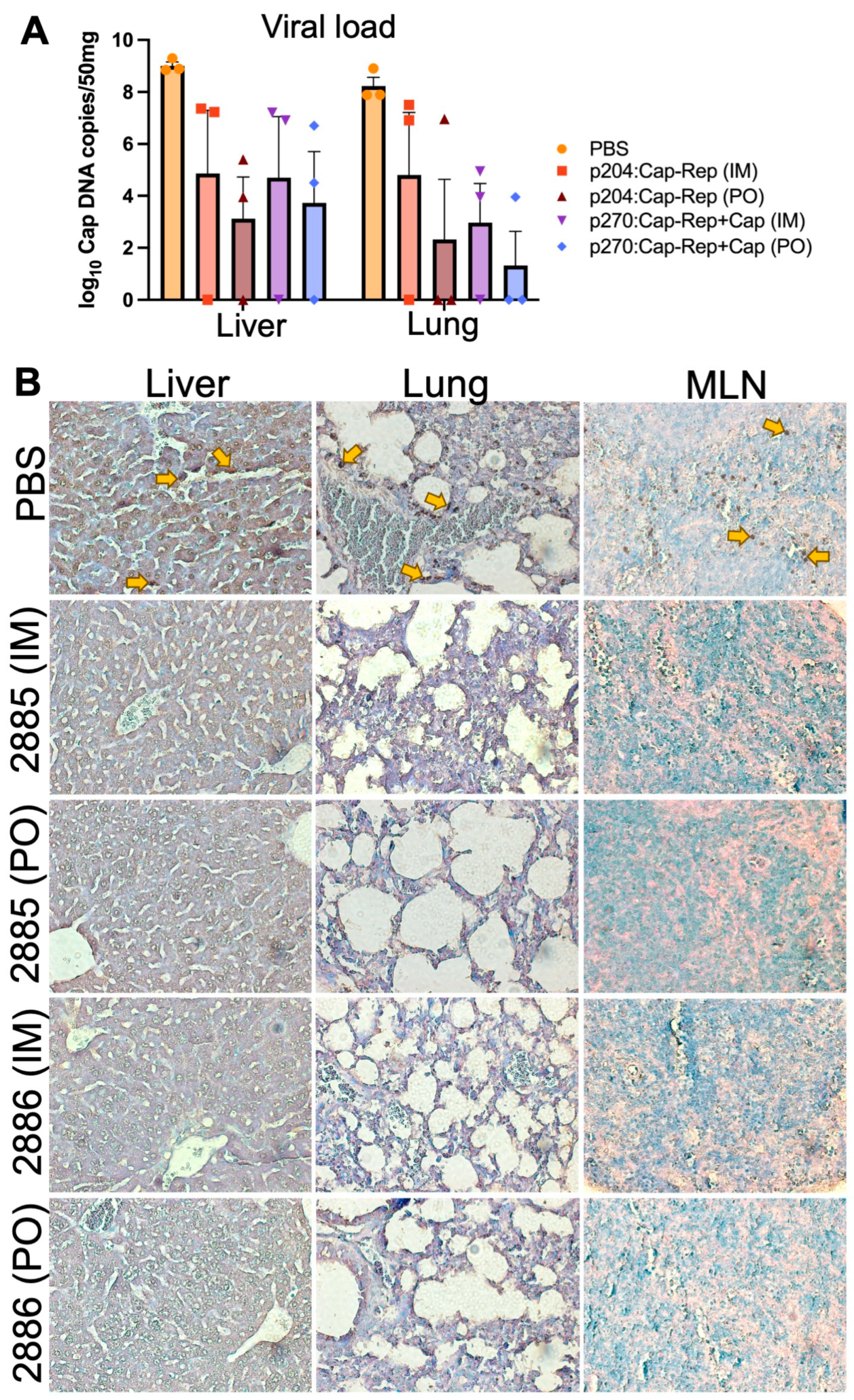 Preprints 89214 g005