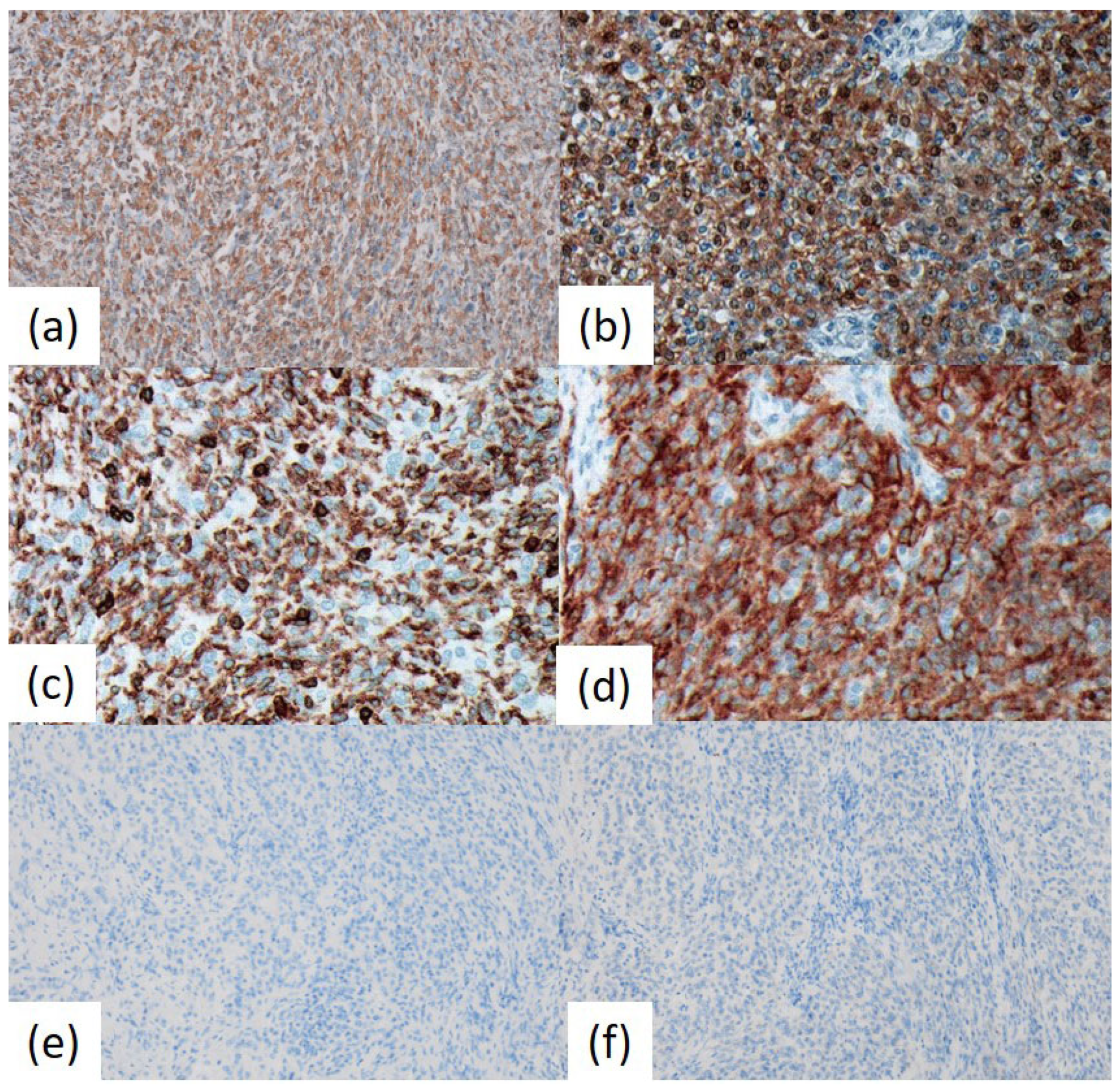 Preprints 170710 g003