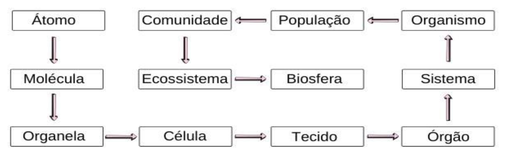 Preprints 108098 g005