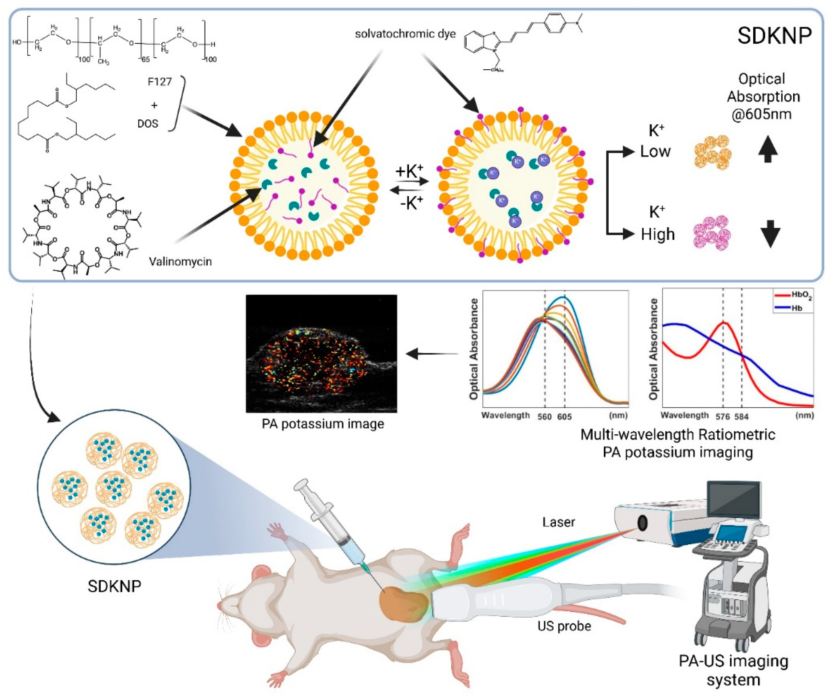 Preprints 164254 g001