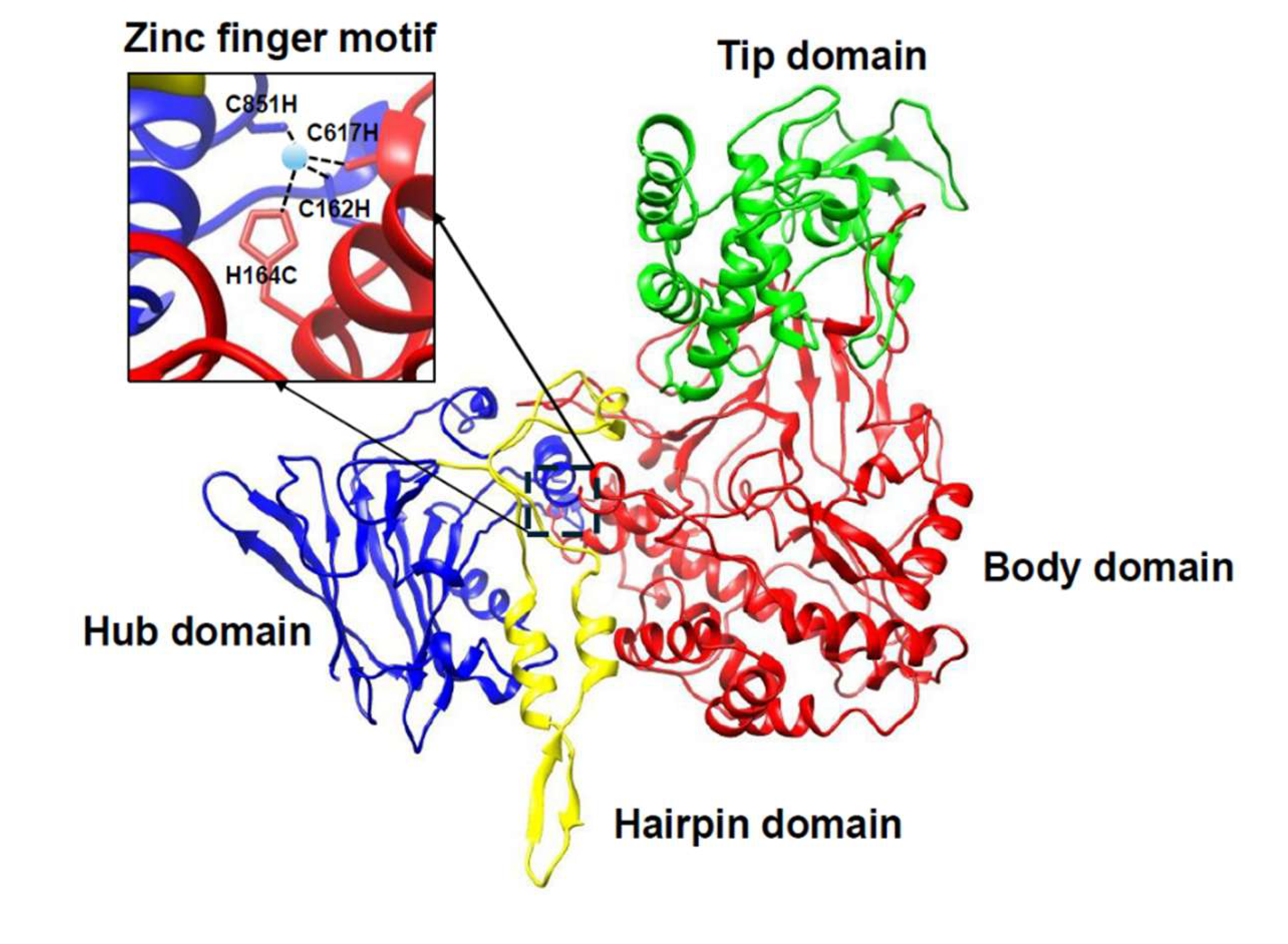 Preprints 204357 g003 Preprints 204357 g003