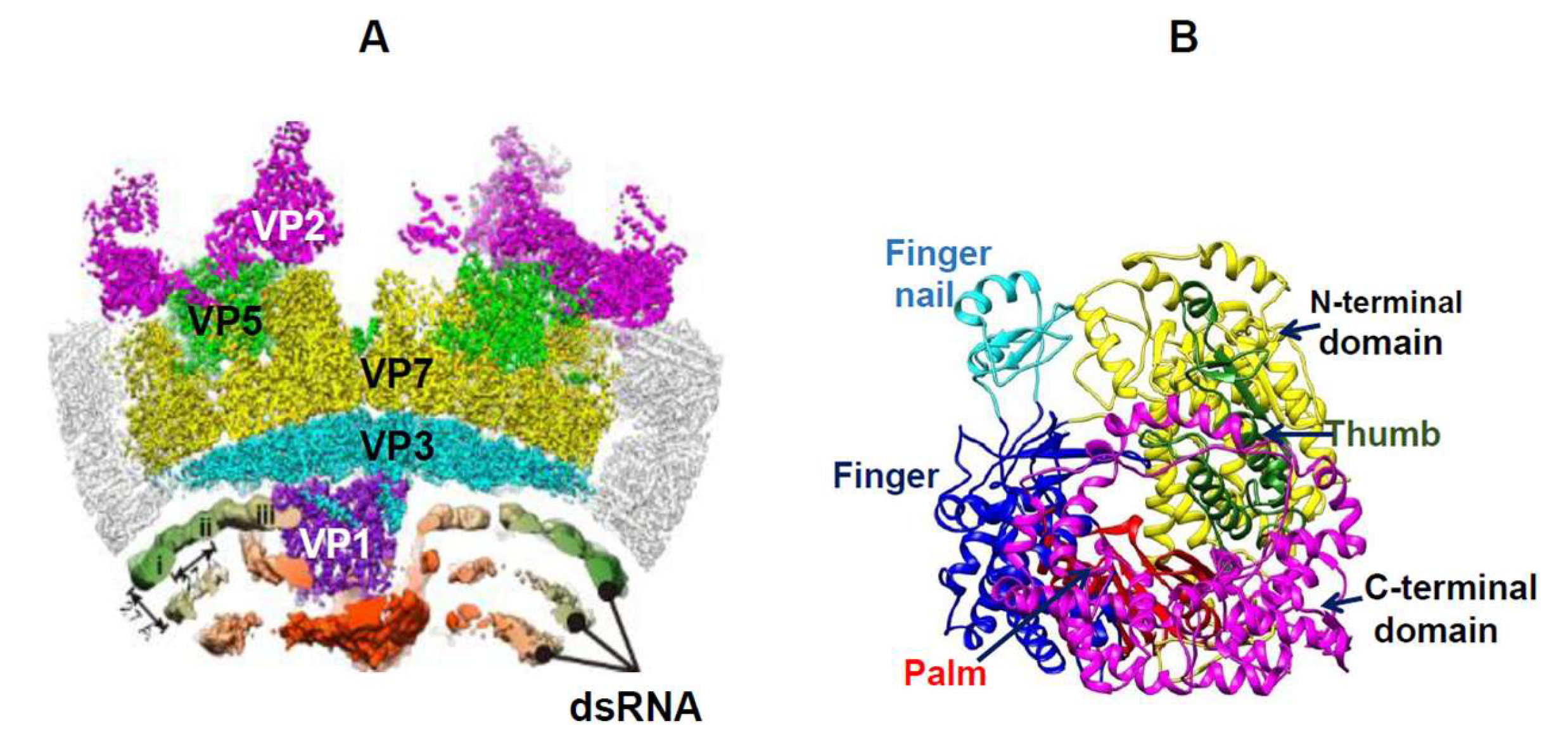 Preprints 204357 g008 Preprints 204357 g008