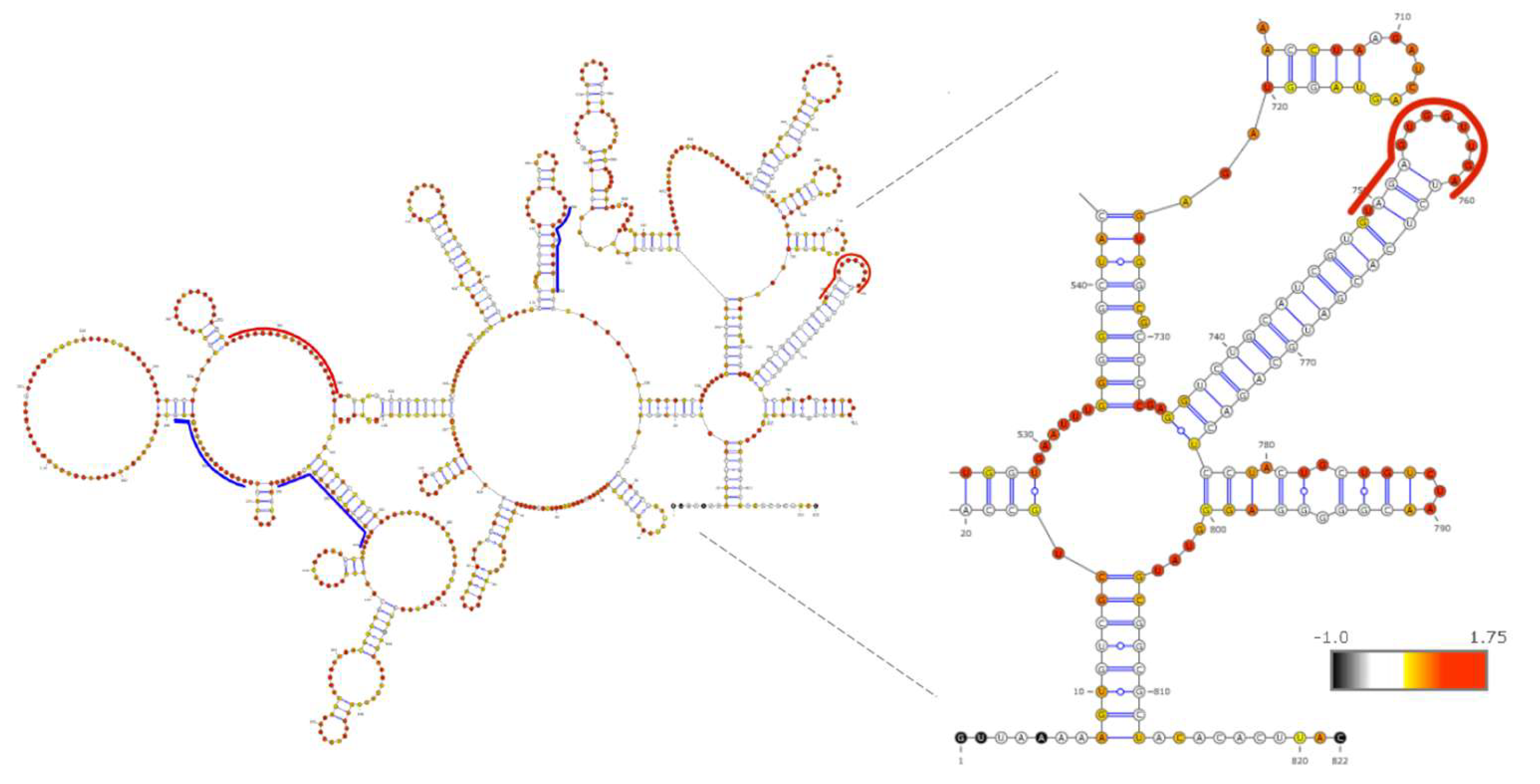 Preprints 204357 g011 Preprints 204357 g011