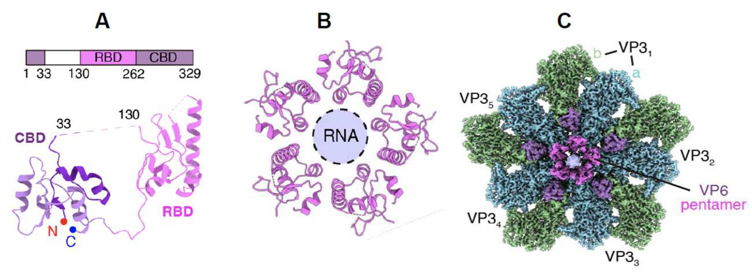 Preprints 204357 g014 Preprints 204357 g014