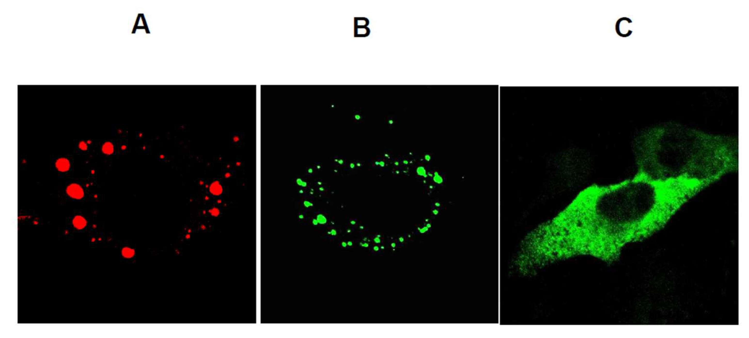 Preprints 204357 g015 Preprints 204357 g015
