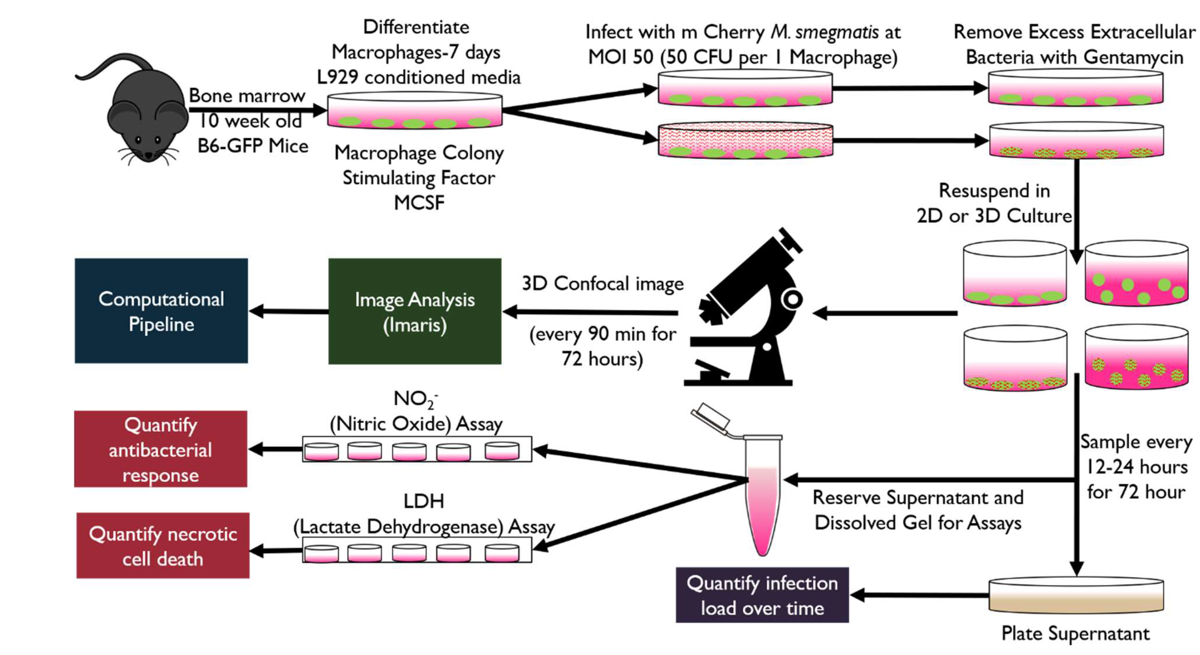 Preprints 166357 g001