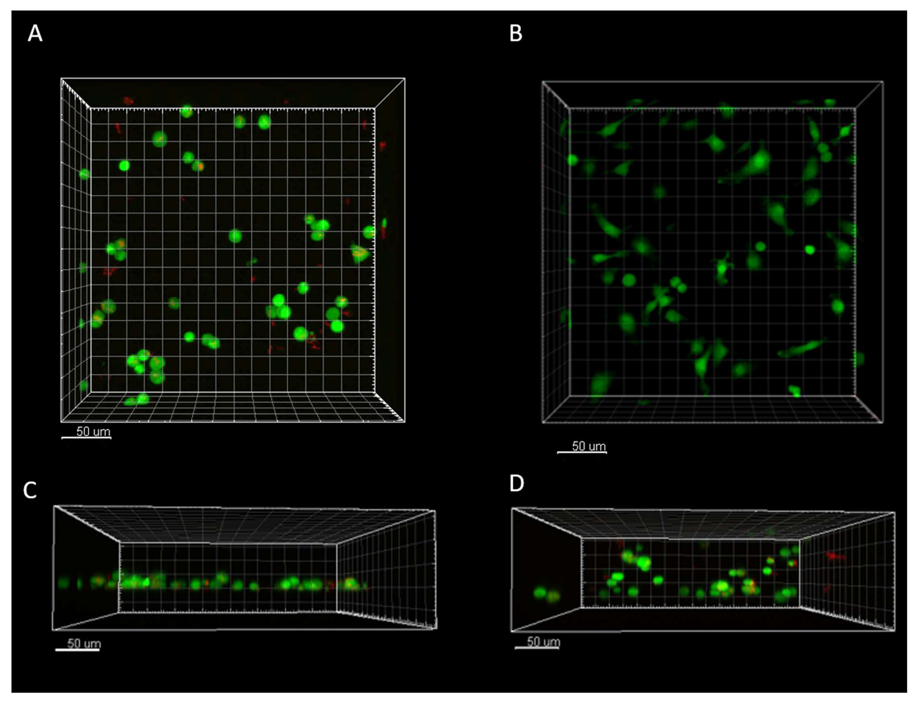 Preprints 166357 g004