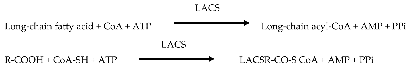 Preprints 178469 i002