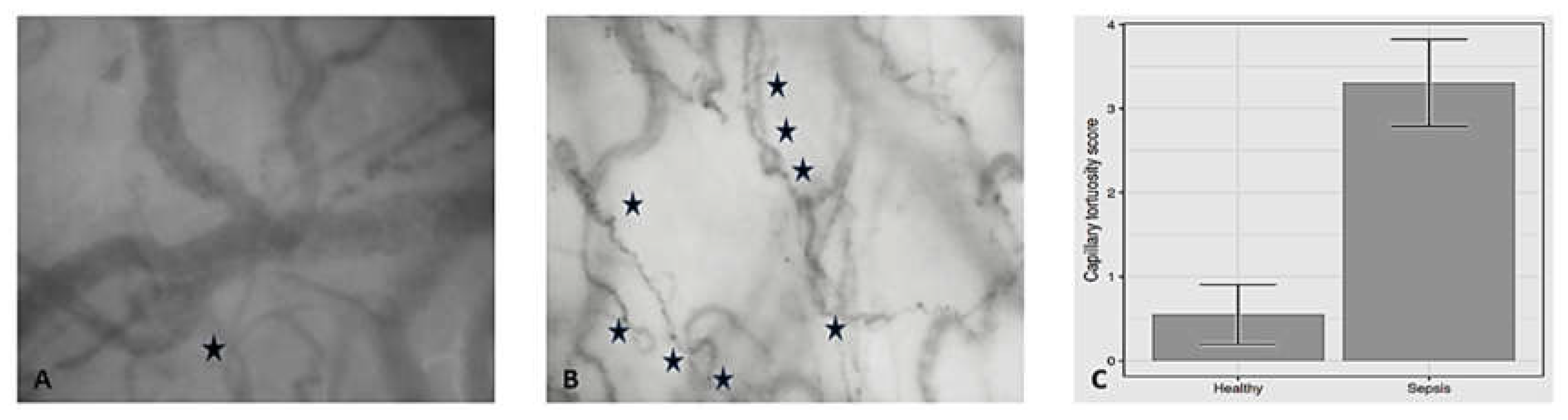 Preprints 147240 g001