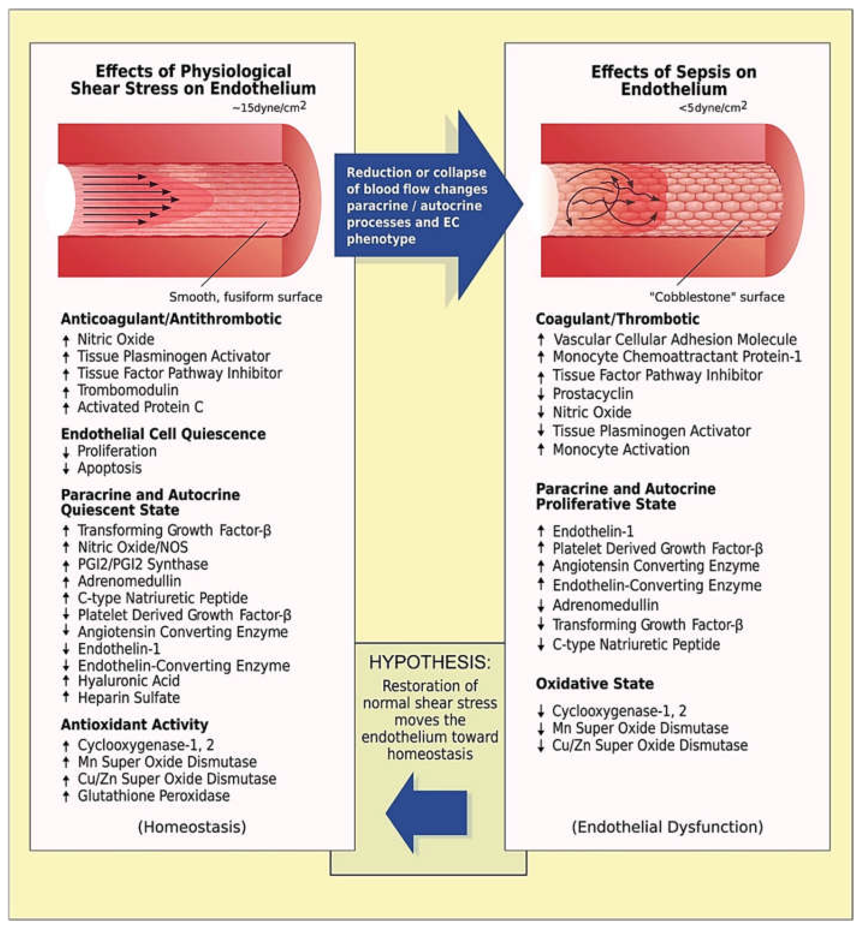 Preprints 147240 g002