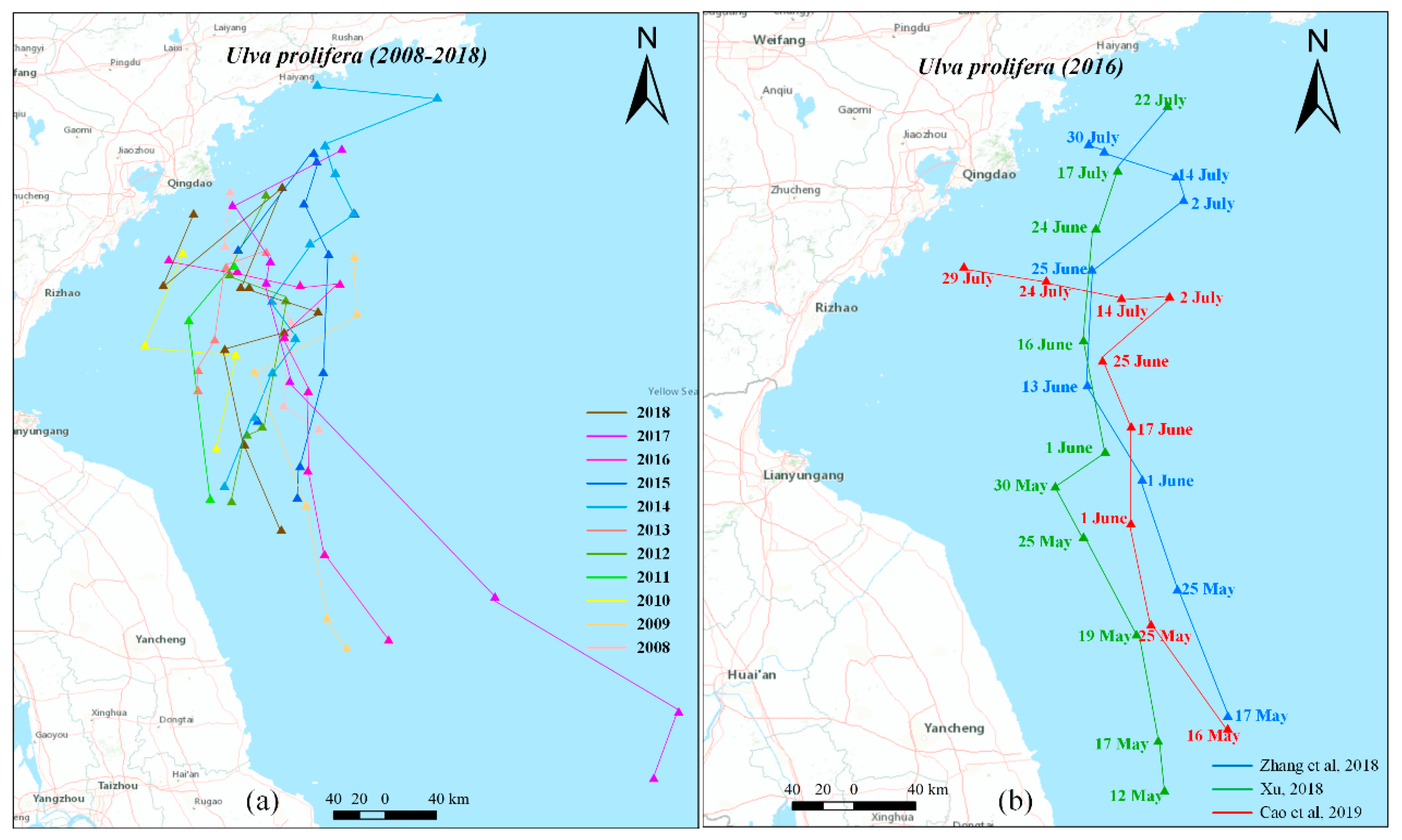 Preprints 155557 g002