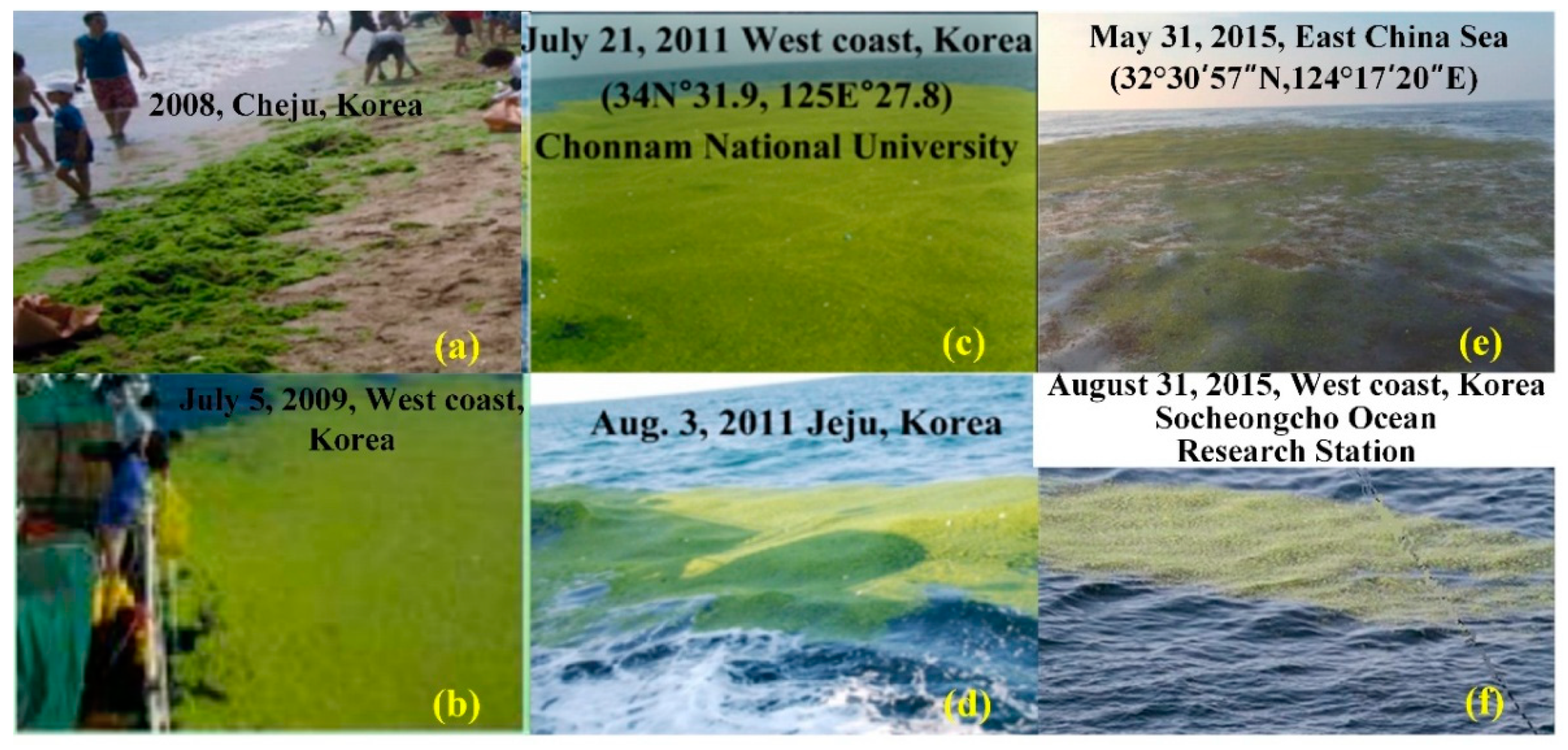 Preprints 155557 g003