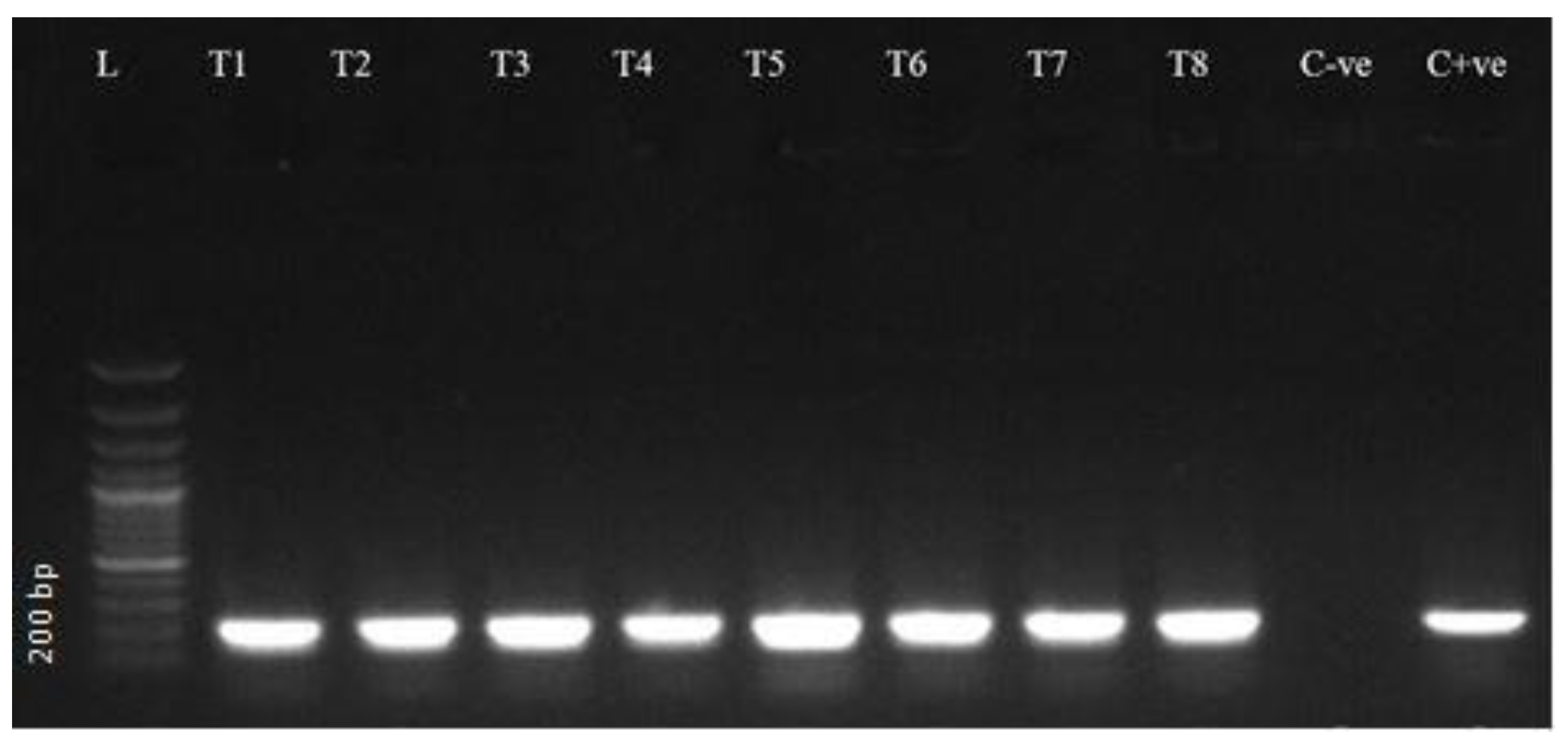 Preprints 173205 g003