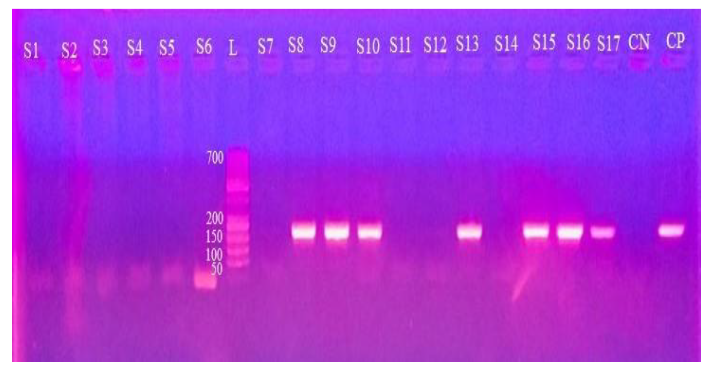 Preprints 173205 g004