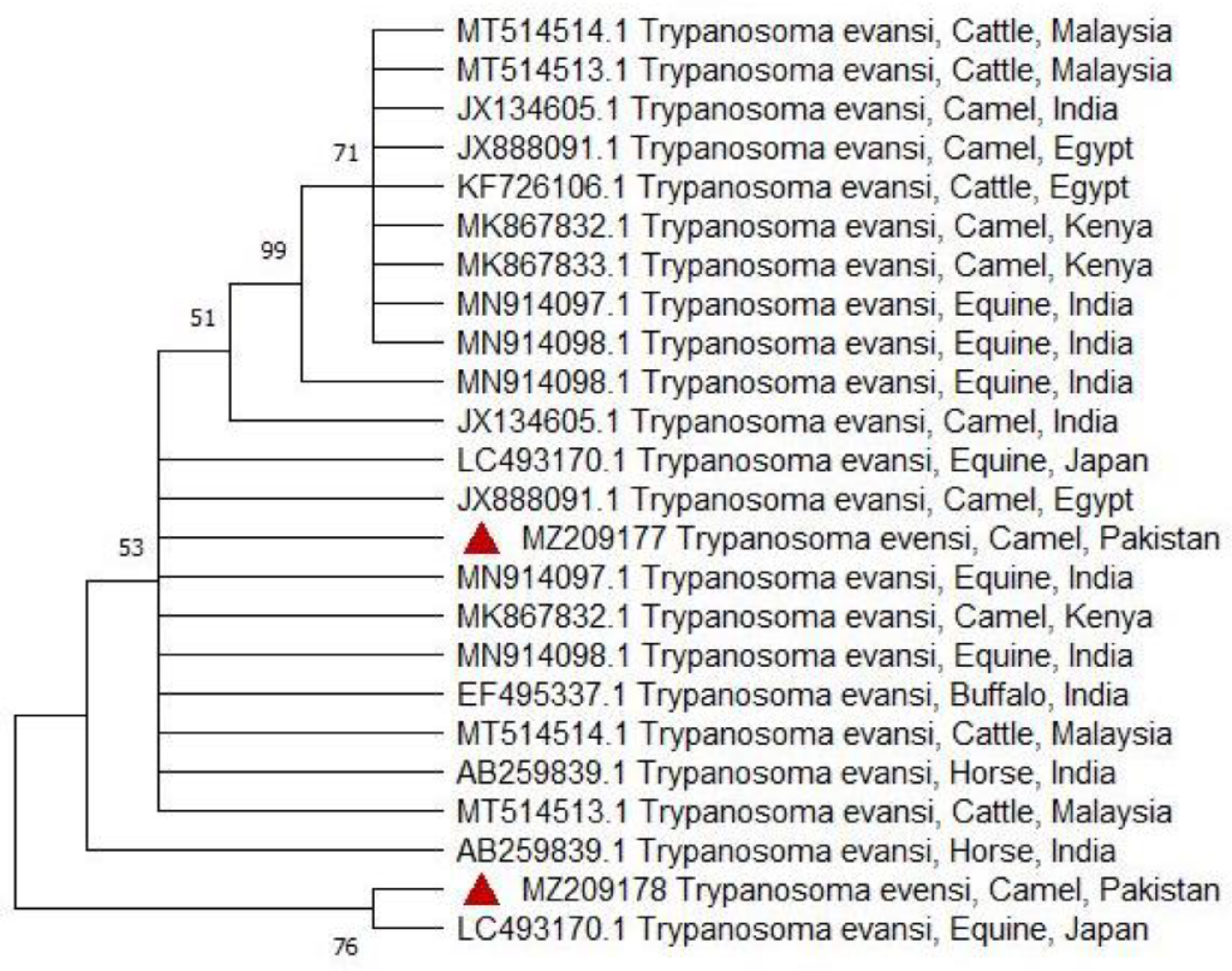 Preprints 173205 g006