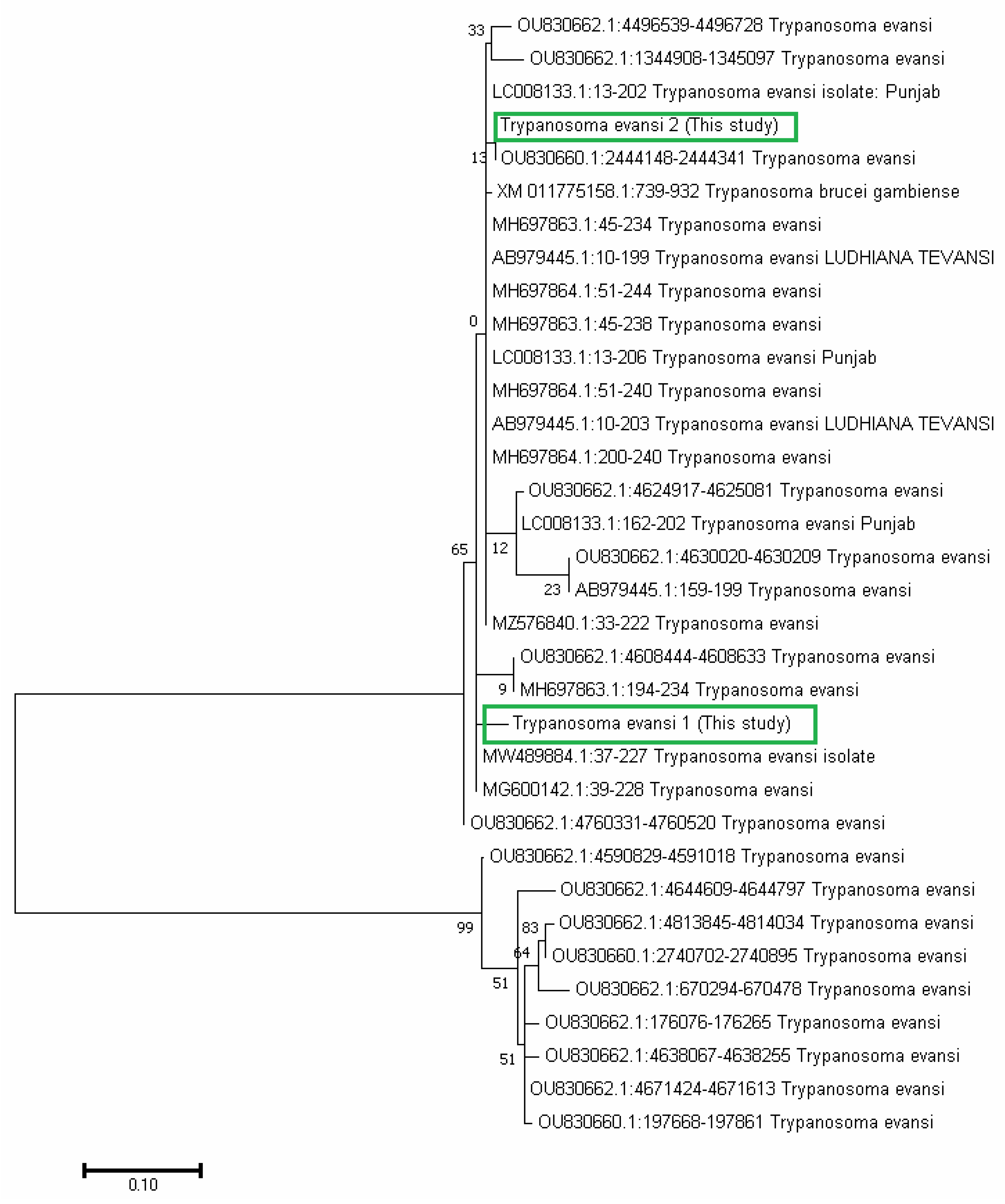Preprints 173205 g007