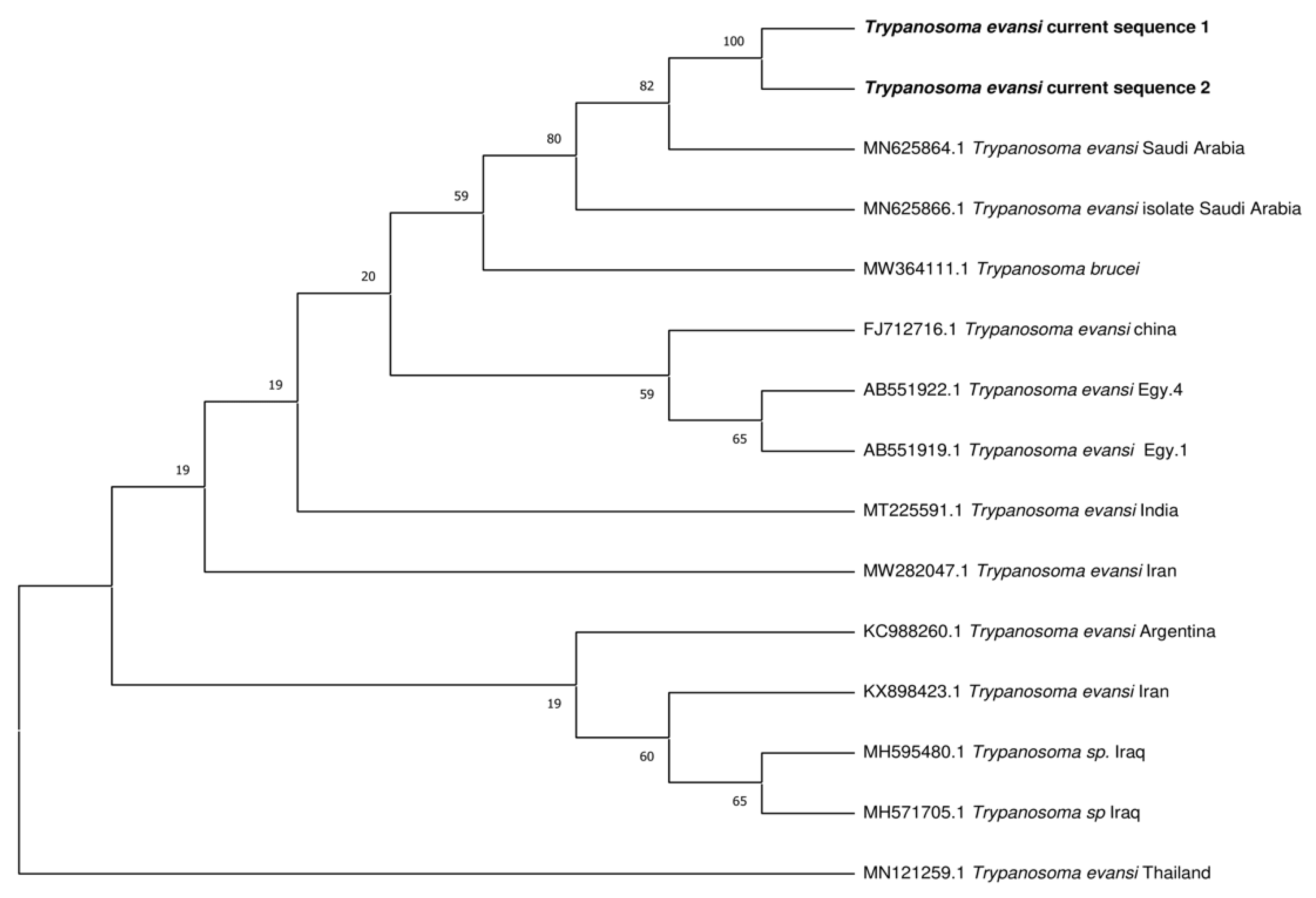 Preprints 173205 g008