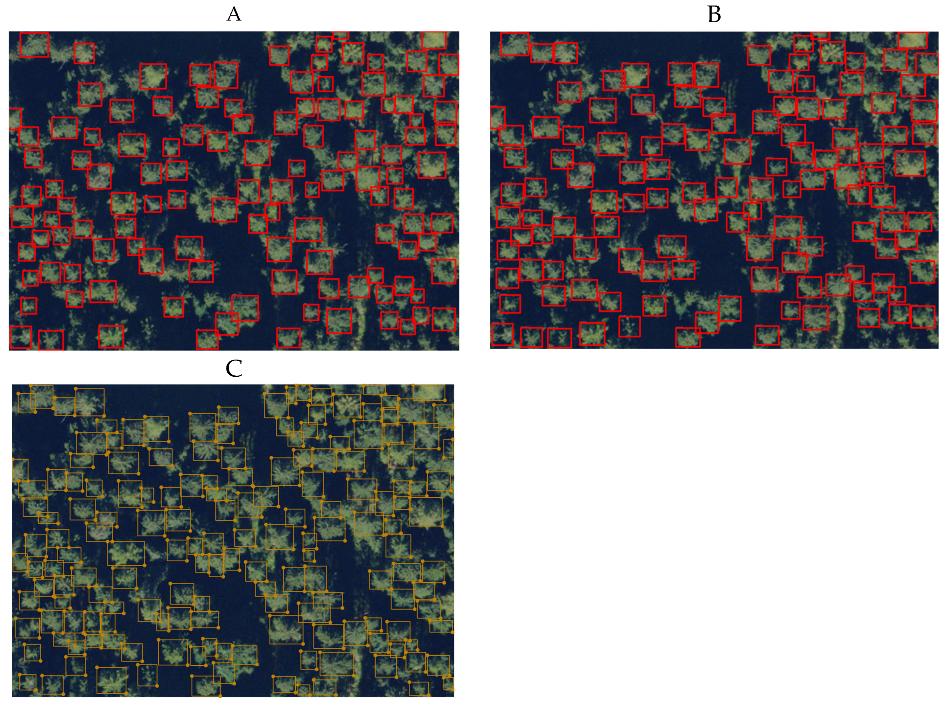 Preprints 146149 g002