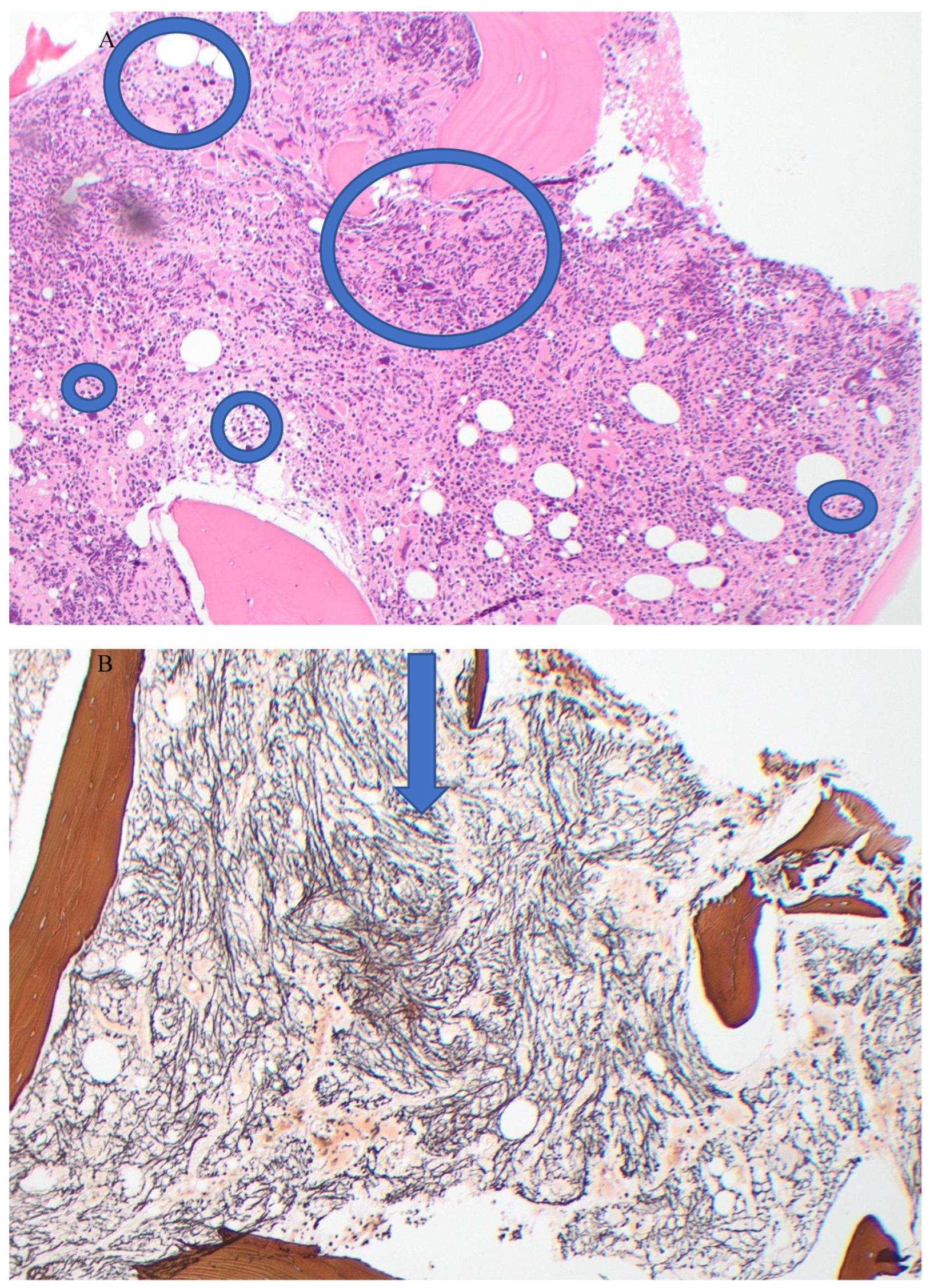 Preprints 182045 g001