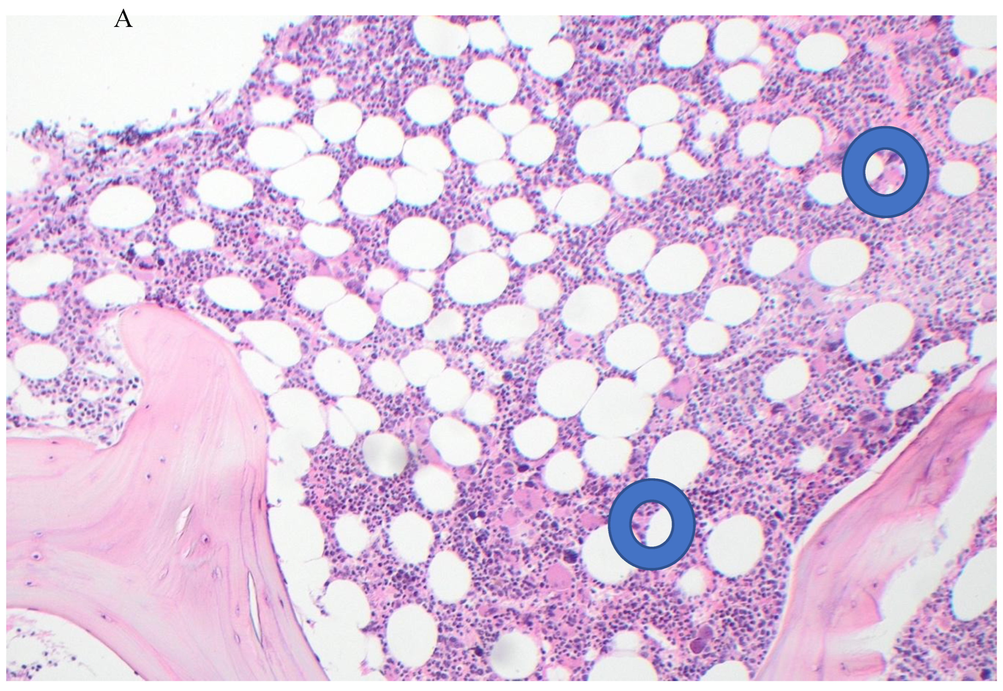 Preprints 182045 g002a