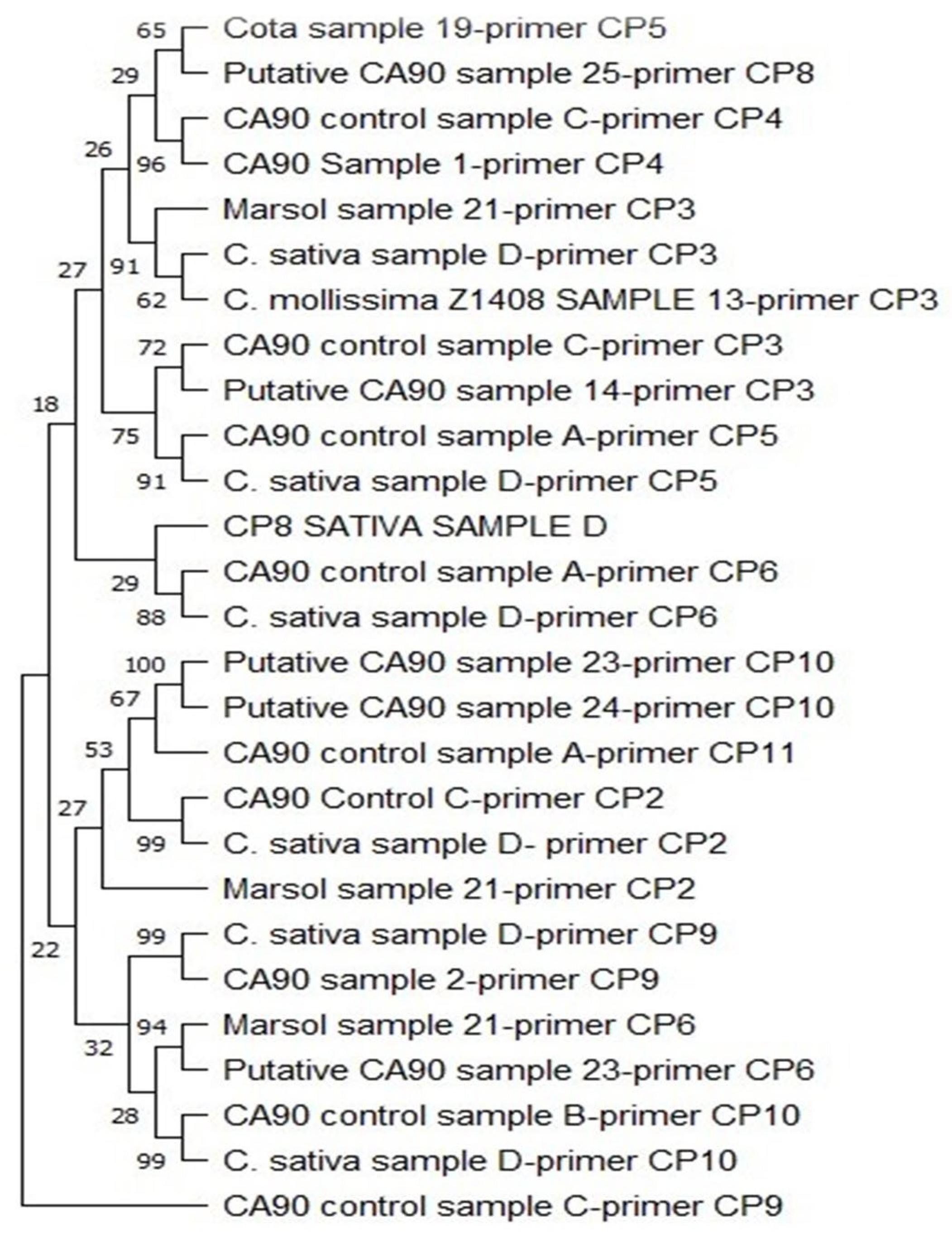 Preprints 147138 g002