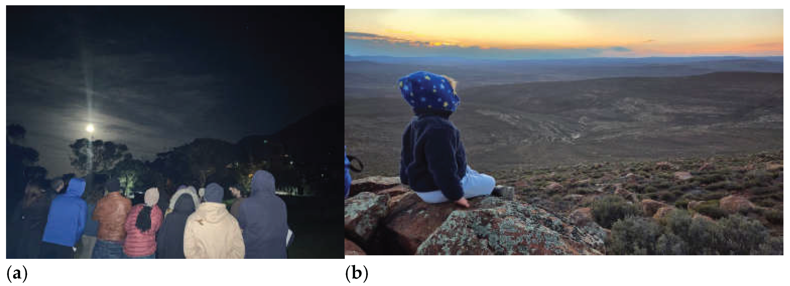 Preprints 209999 g001