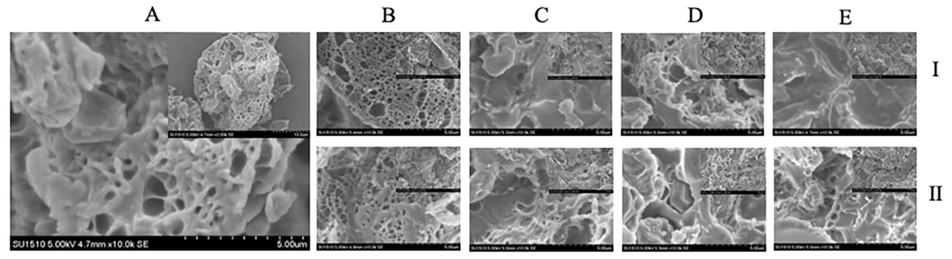 Preprints 149592 g004