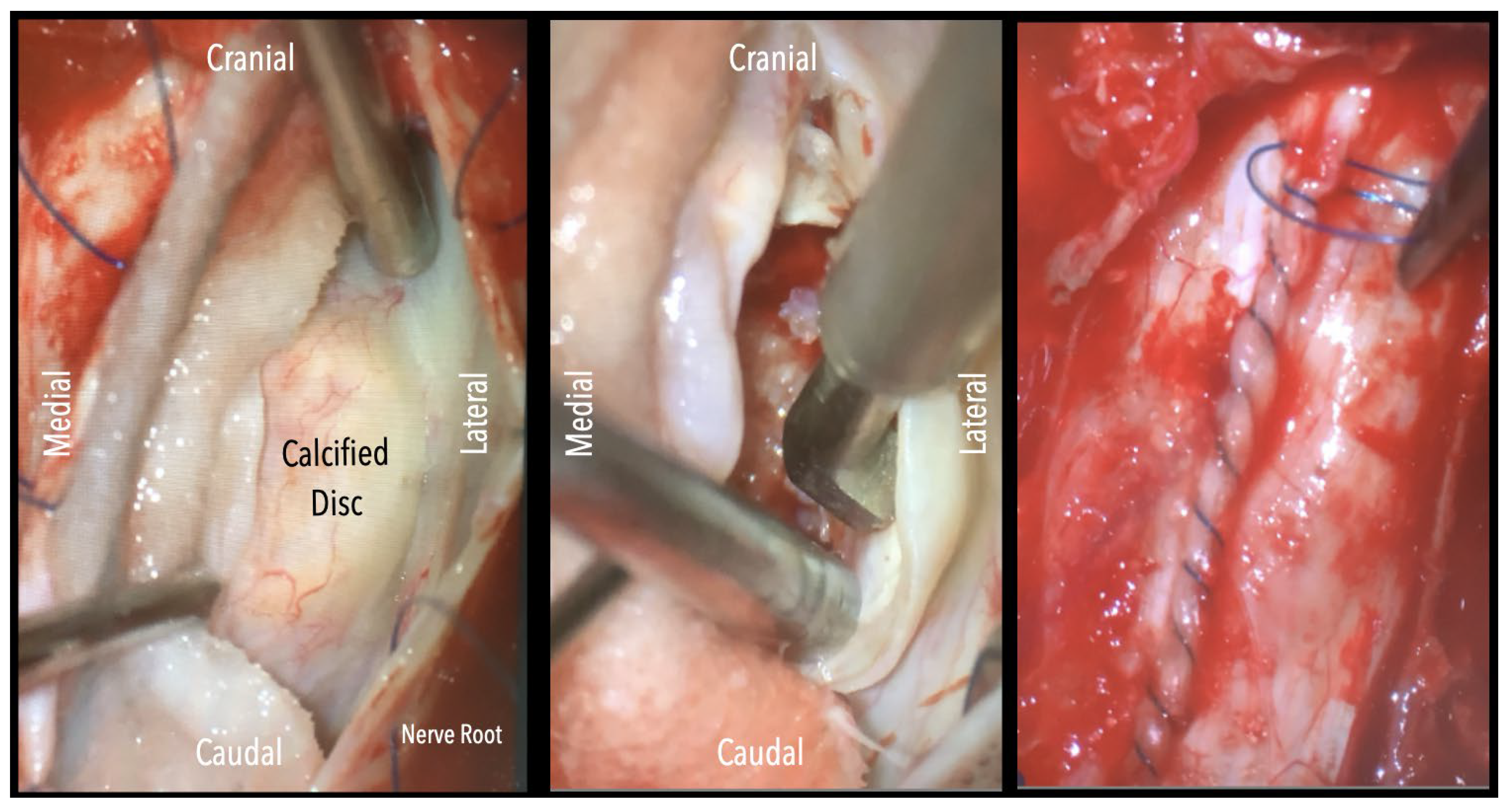 Preprints 182696 g003