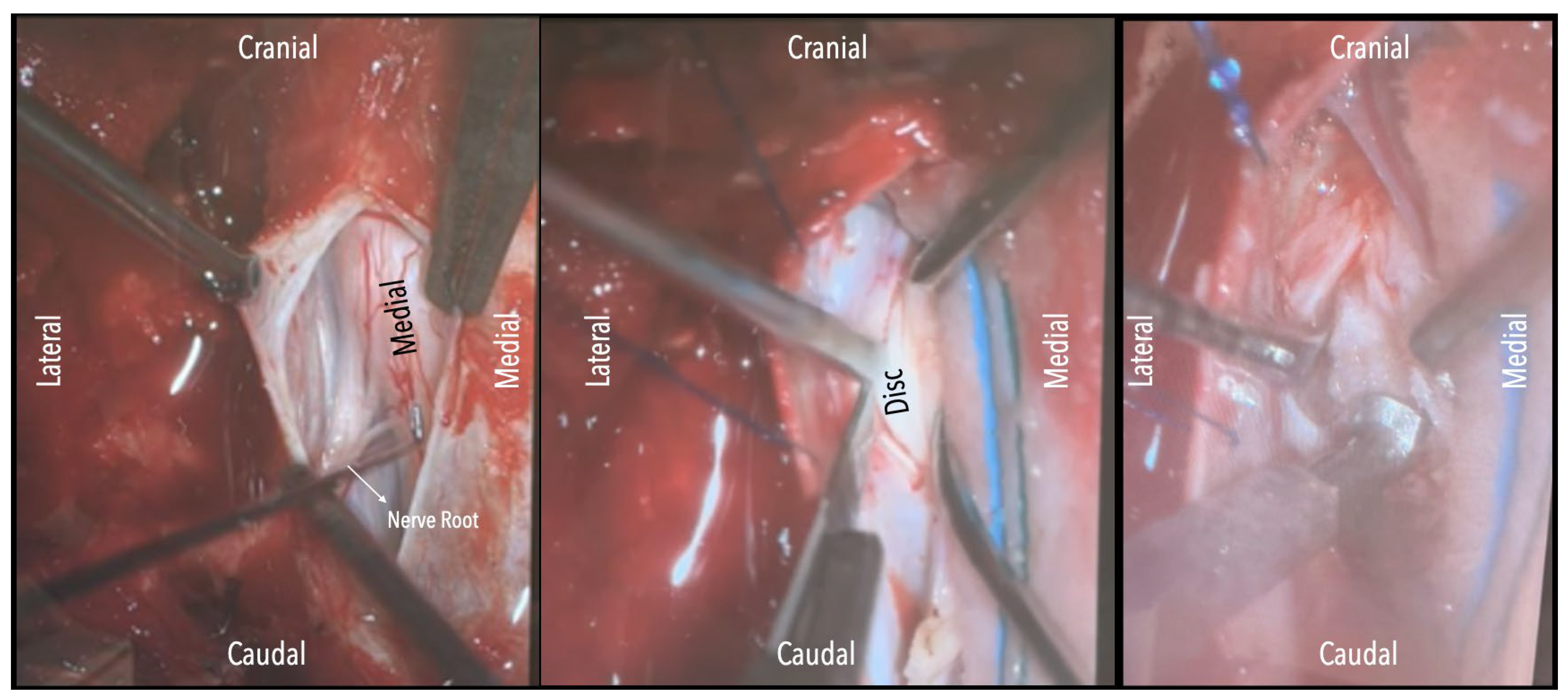 Preprints 182696 g004
