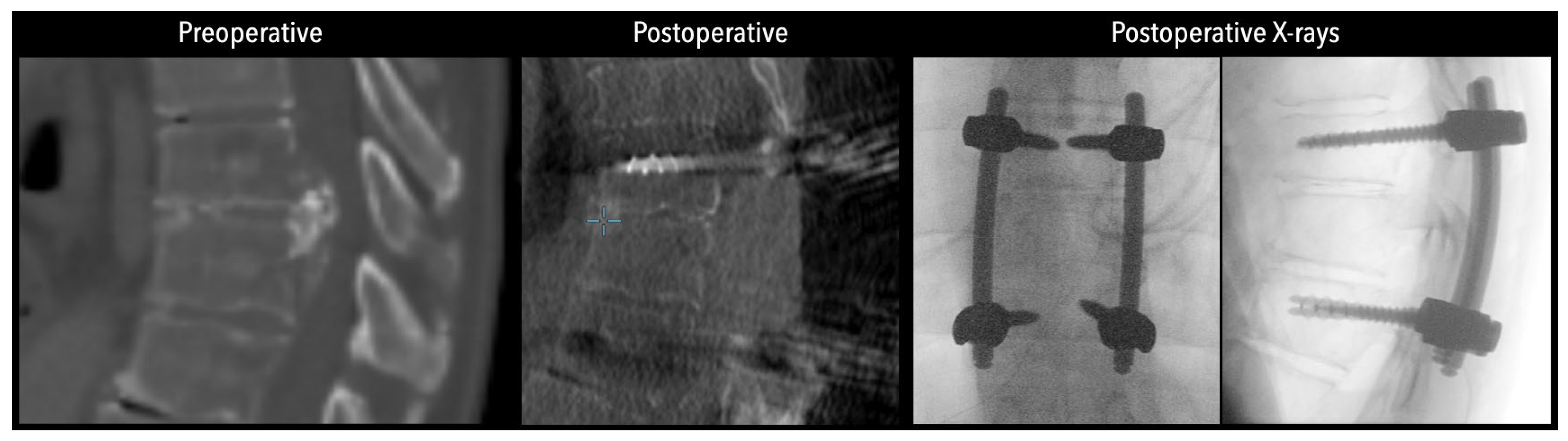 Preprints 182696 g006