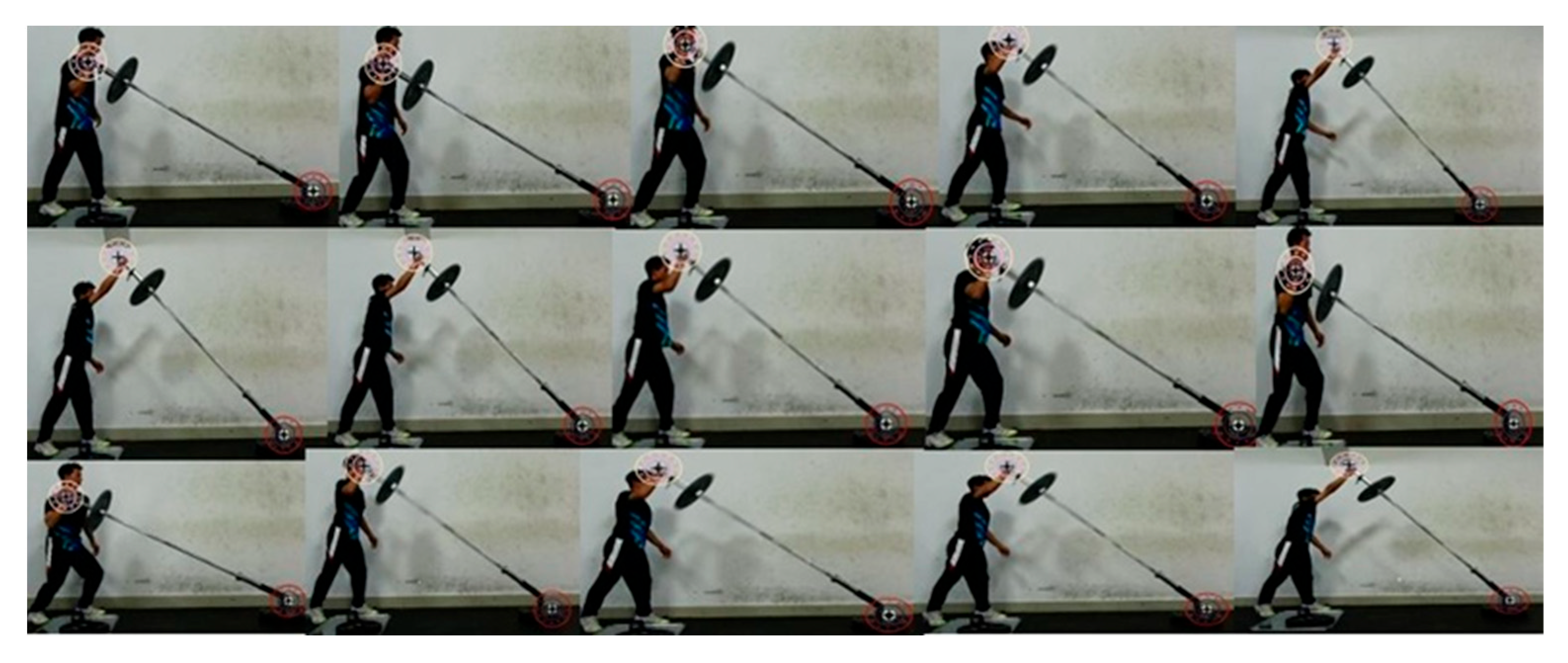 Preprints 191714 g011